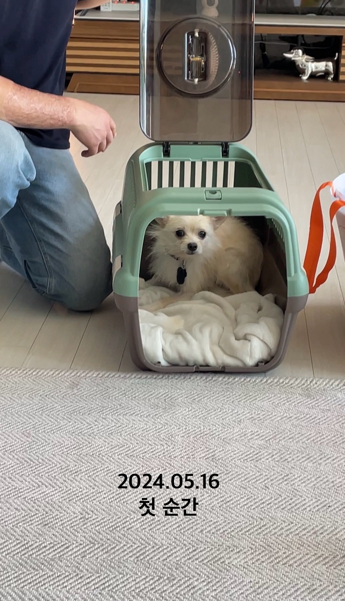 동치미(구 포요) Happy Adoption Day!🥳