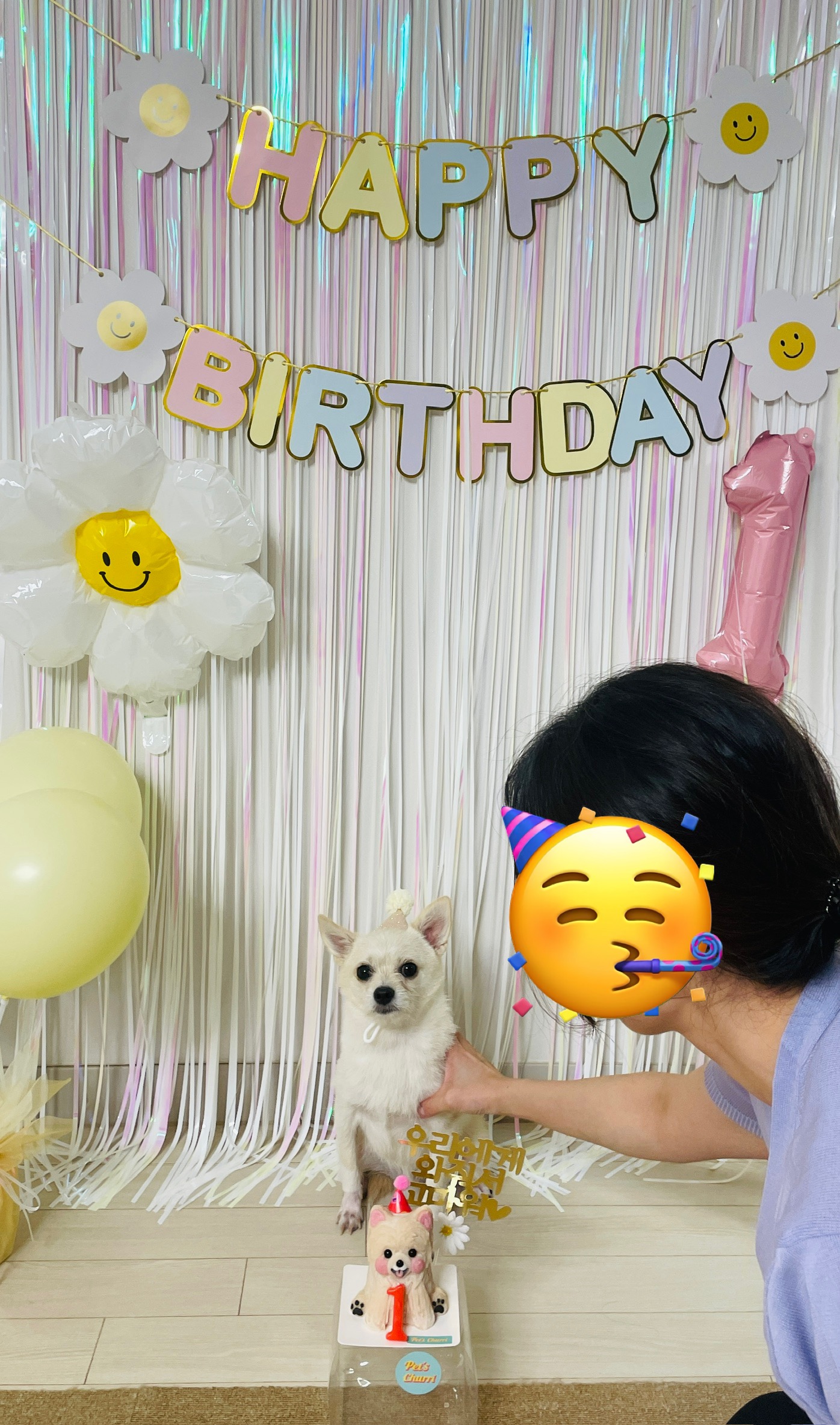 동치미(구 포요) Happy Adoption Day!🥳