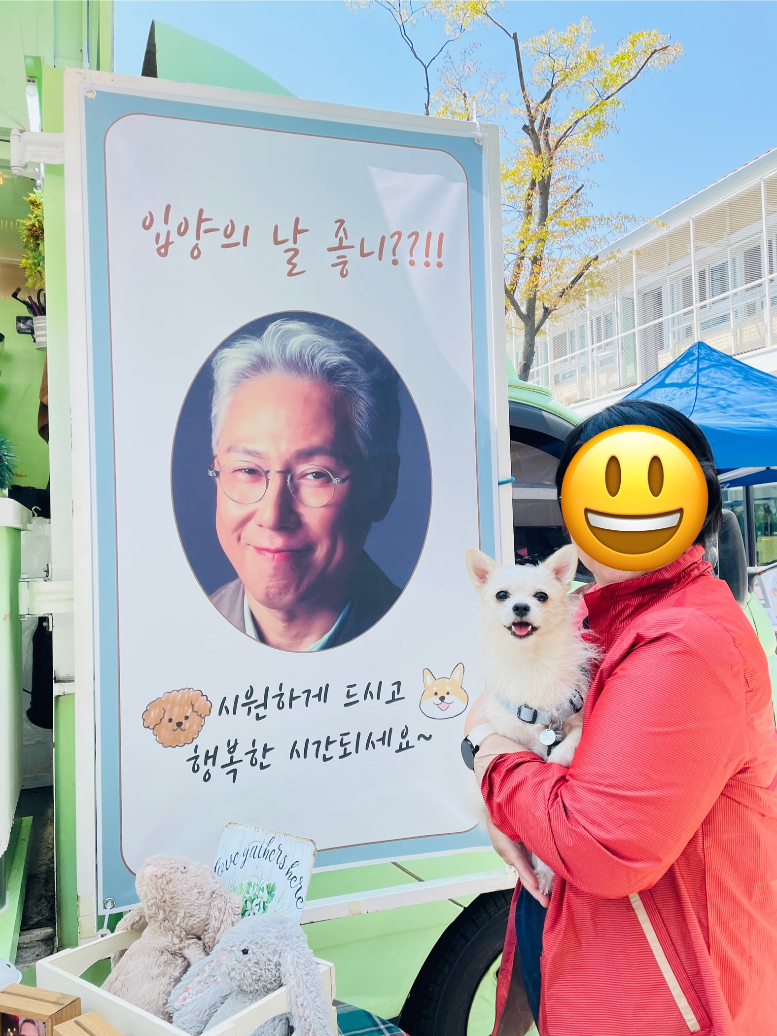 동치미(구 포요) Happy Adoption Day!🥳
