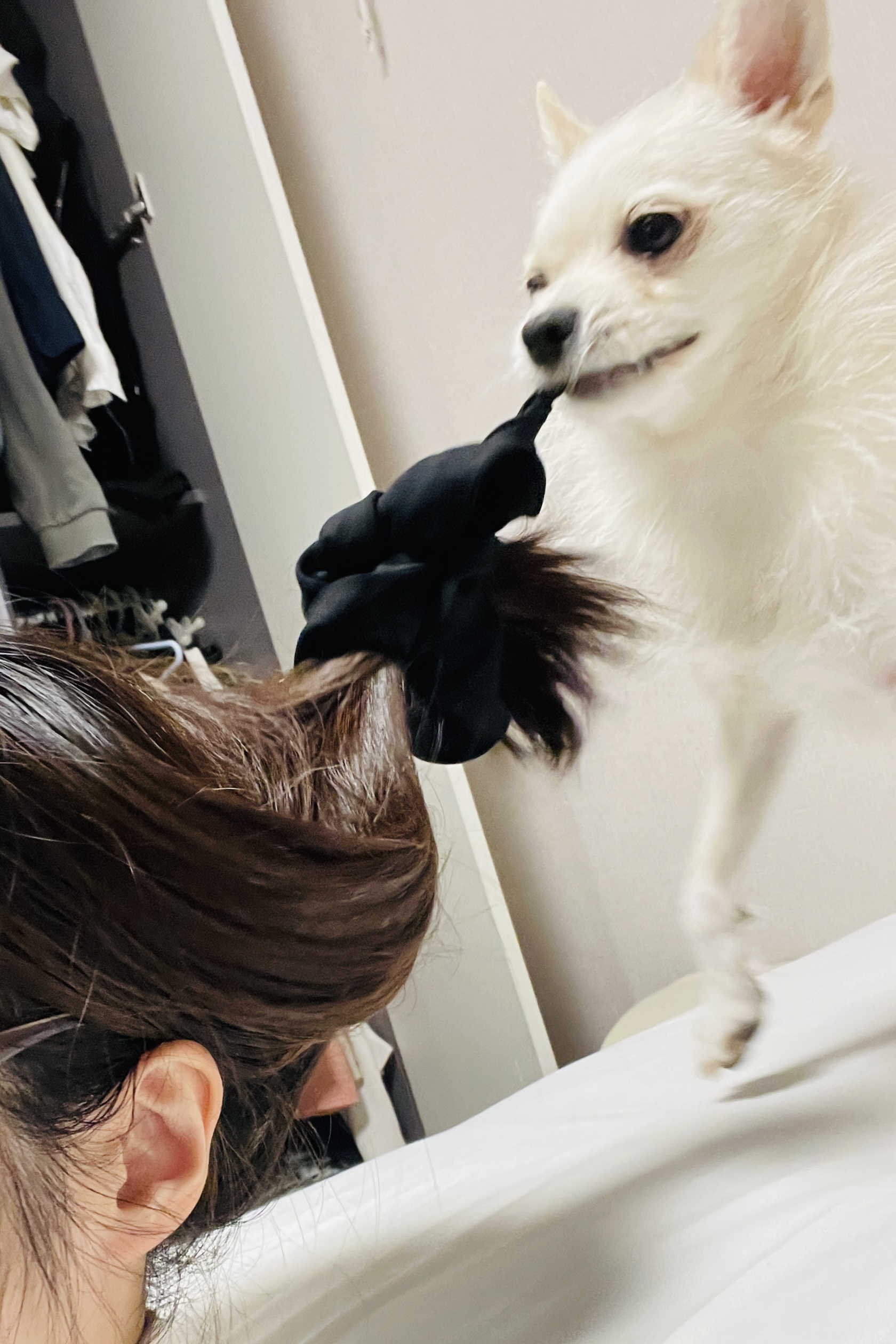 동치미(구 포요) Happy Adoption Day!🥳