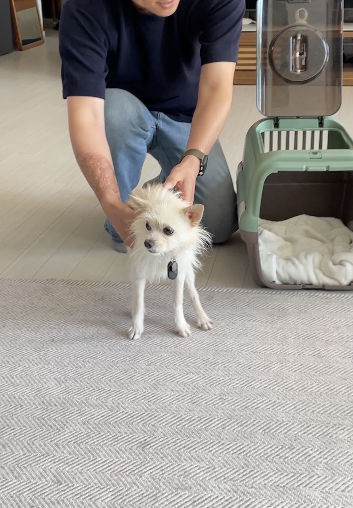 동치미(구 포요) Happy Adoption Day!🥳