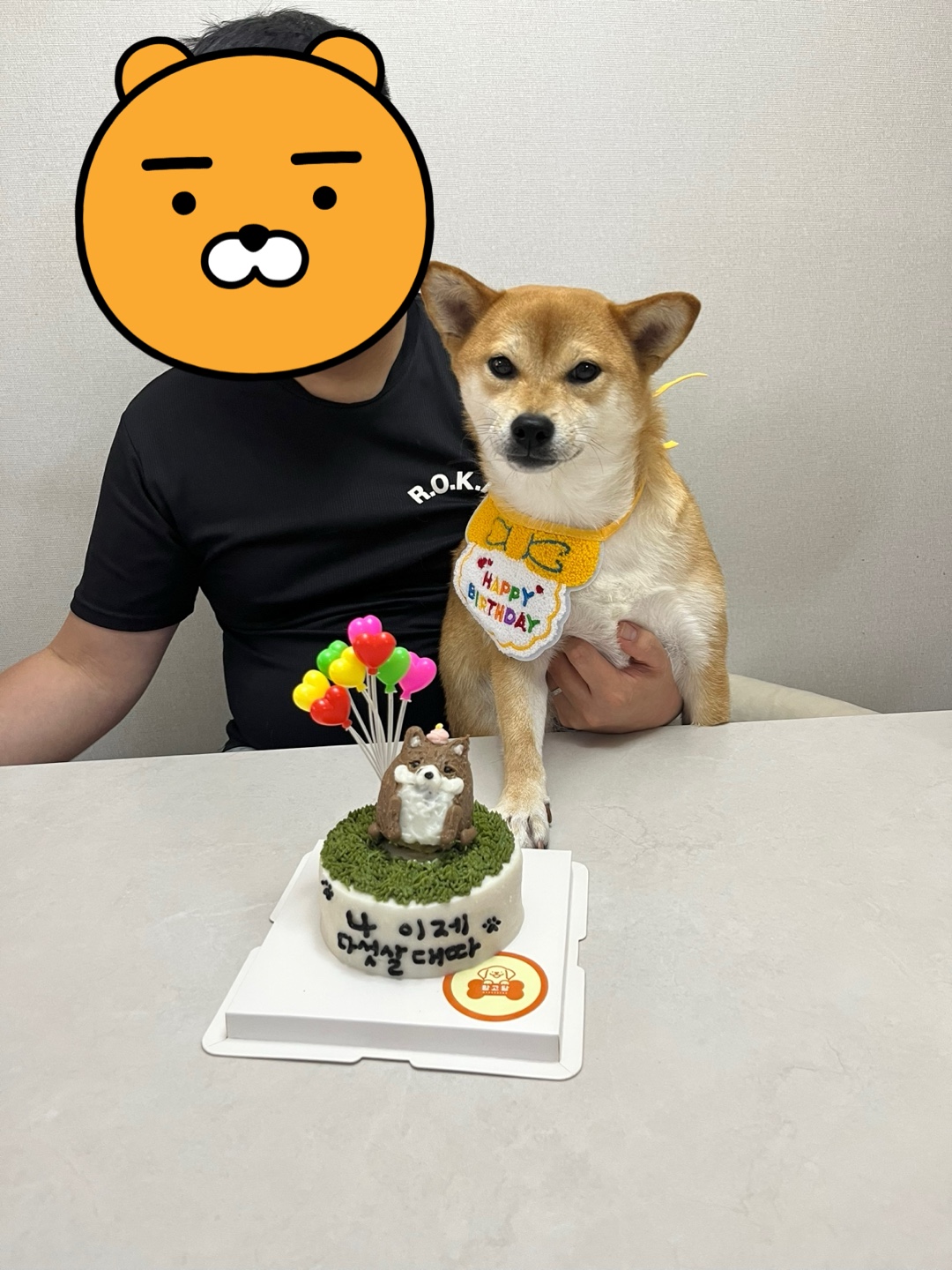 금동이 (전 : 쫄이) 1년 입양후기 