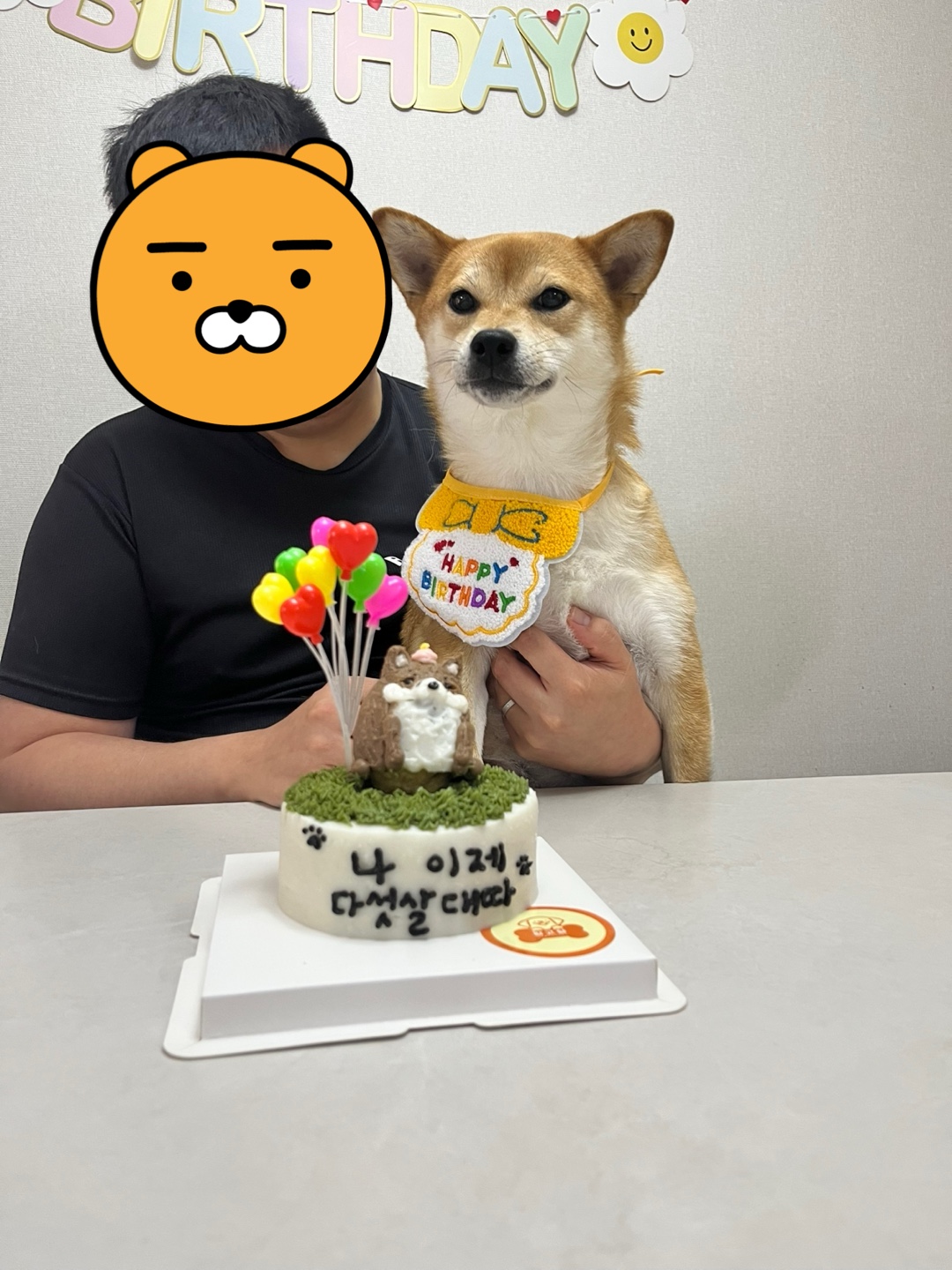 금동이 (전 : 쫄이) 1년 입양후기 