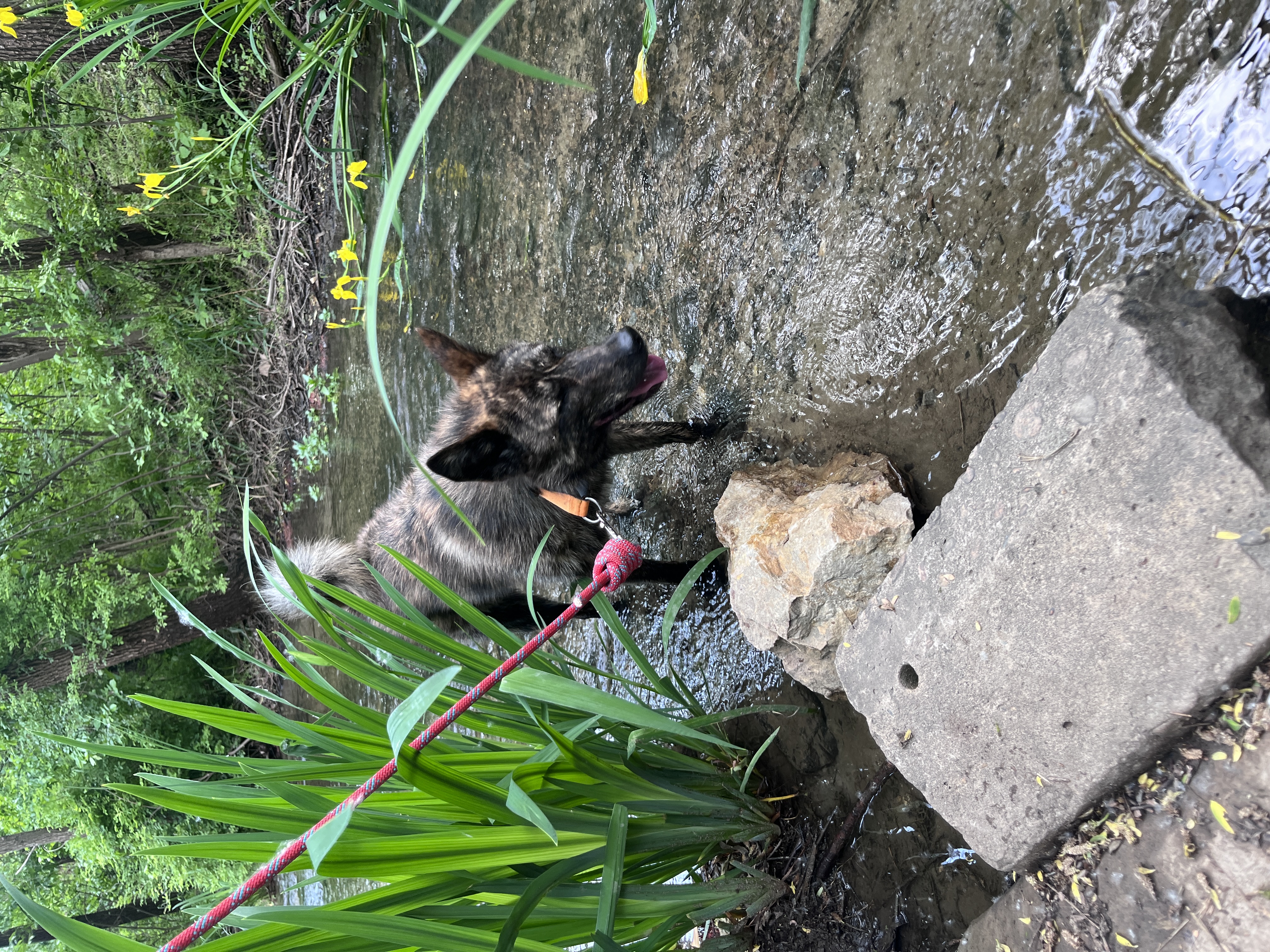 벌써 한달! 이룸이 소식