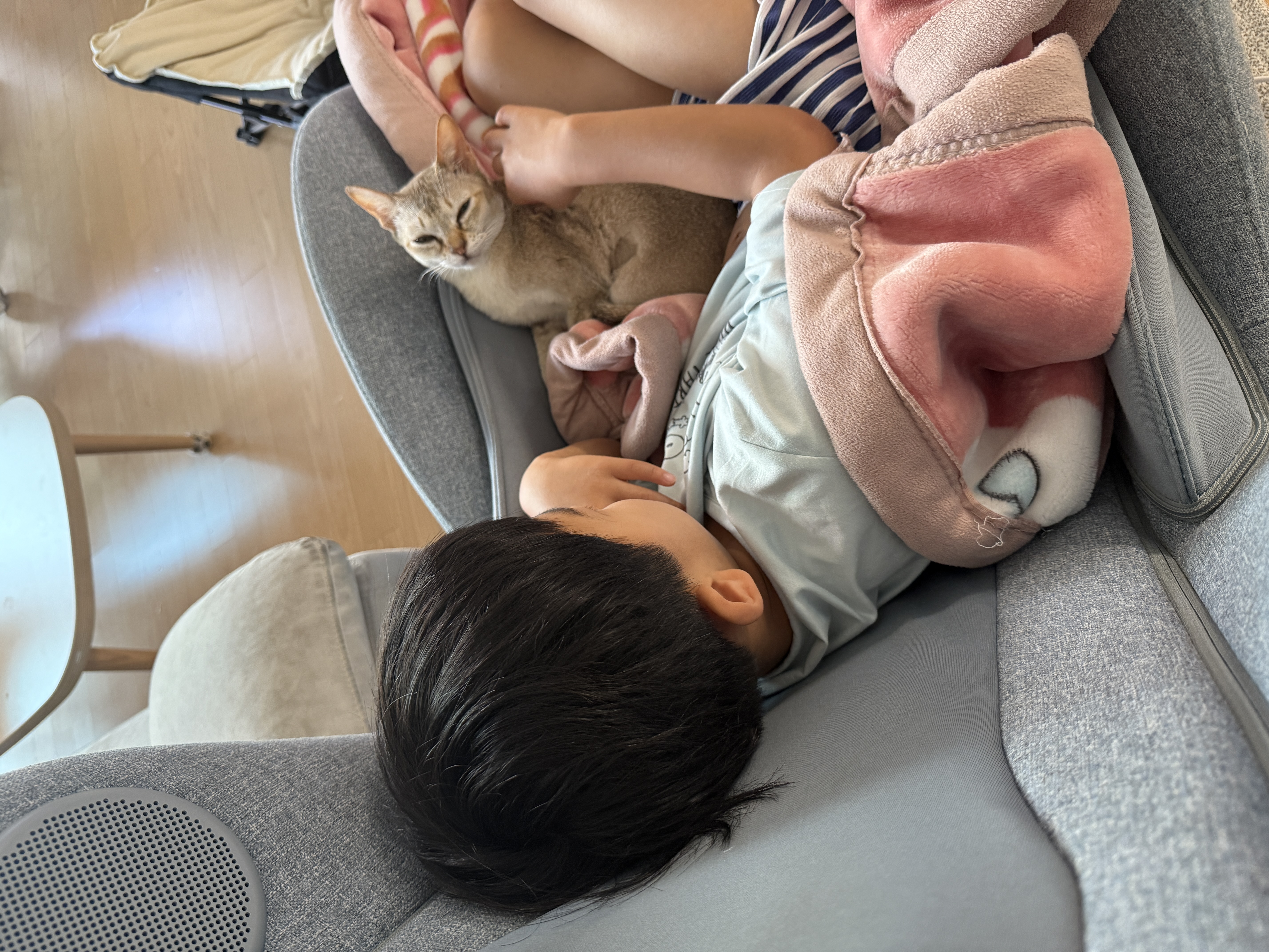 또봉이(이요) 일주일차 적응기
