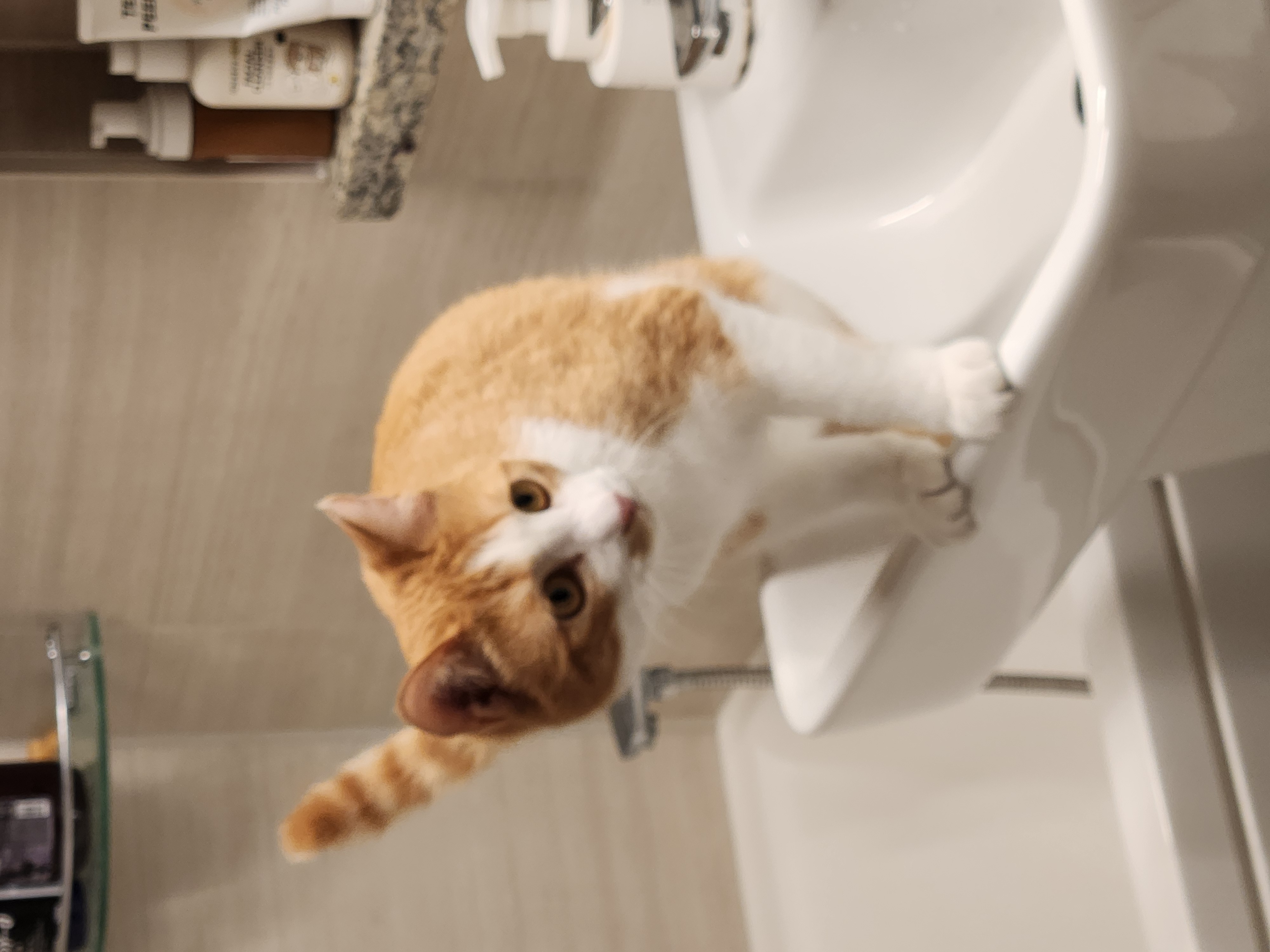 오들이 한달후기