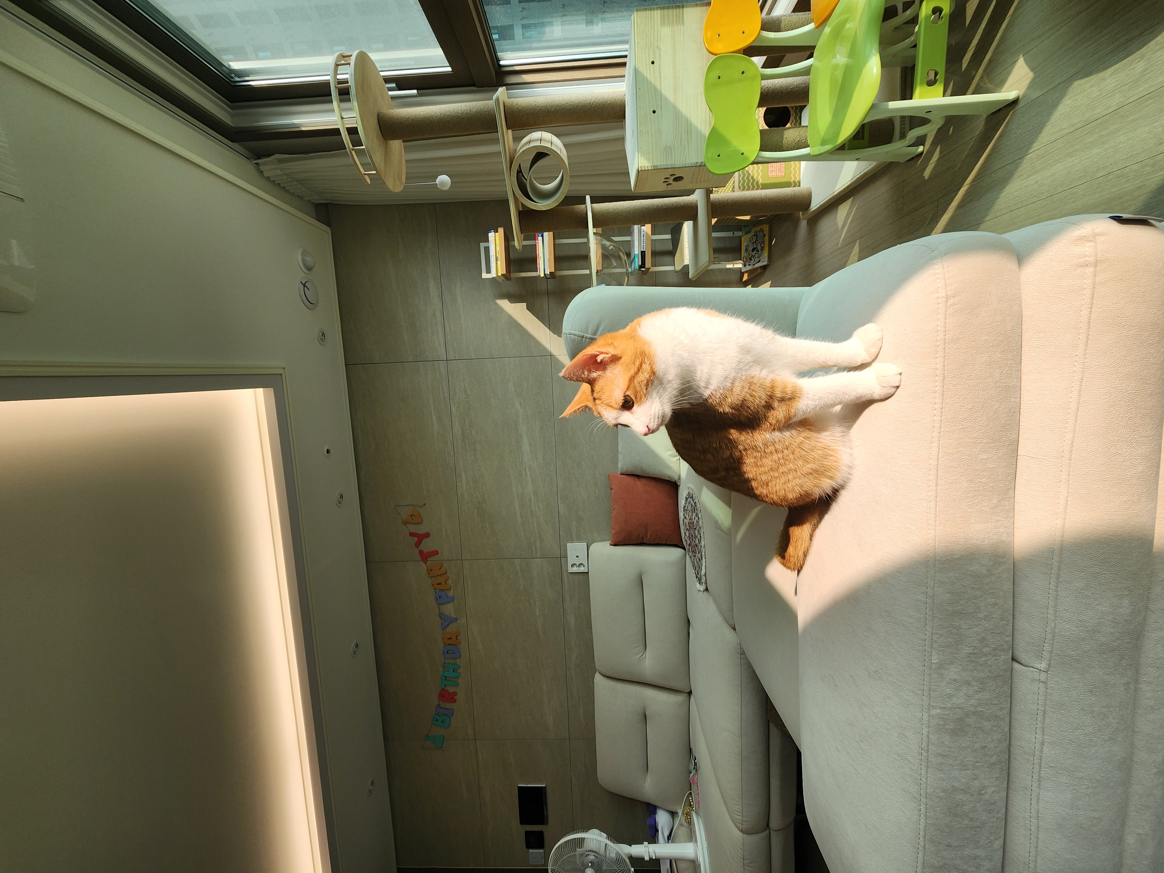 오들이 한달후기