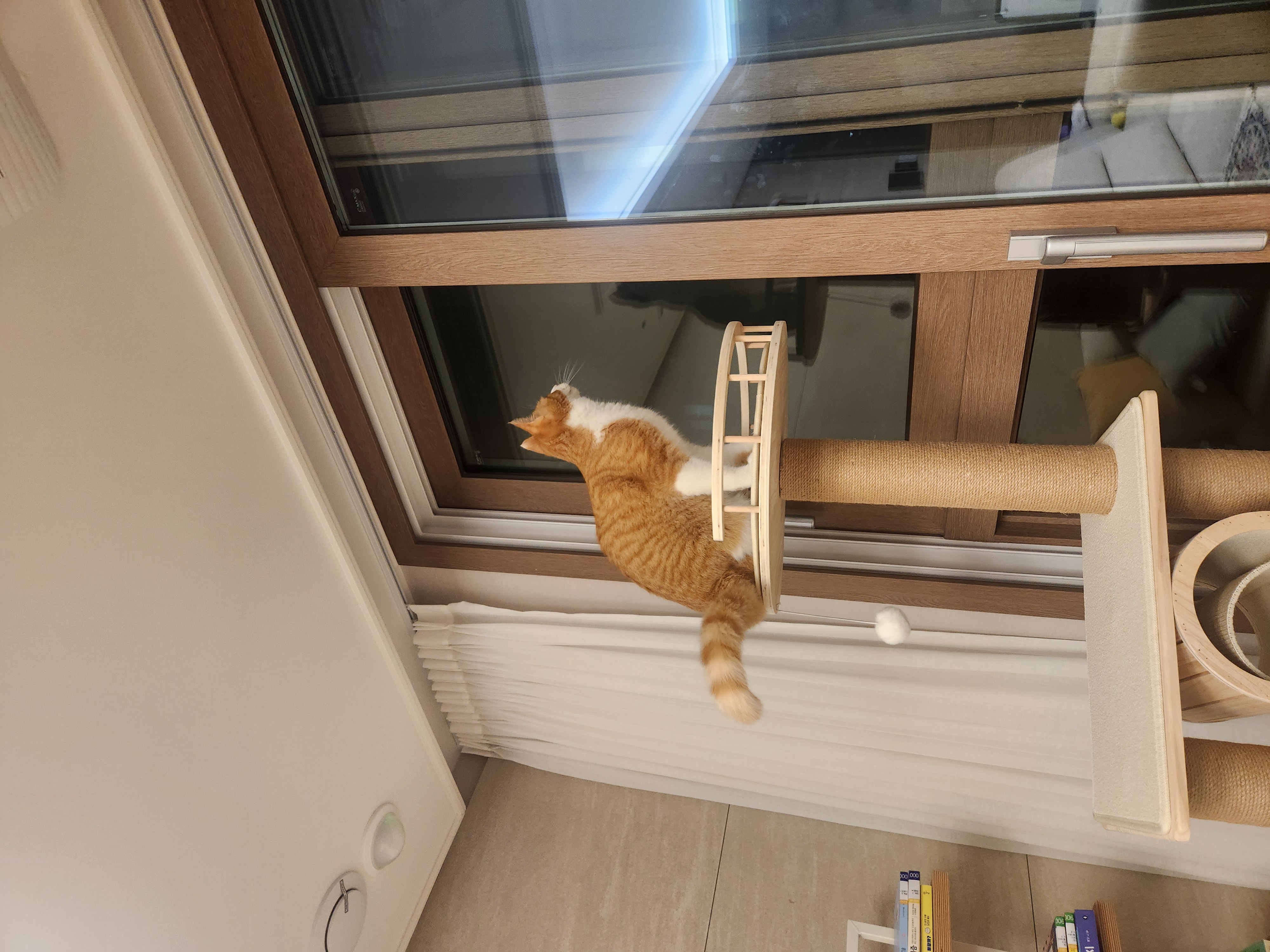 오들이 한달후기