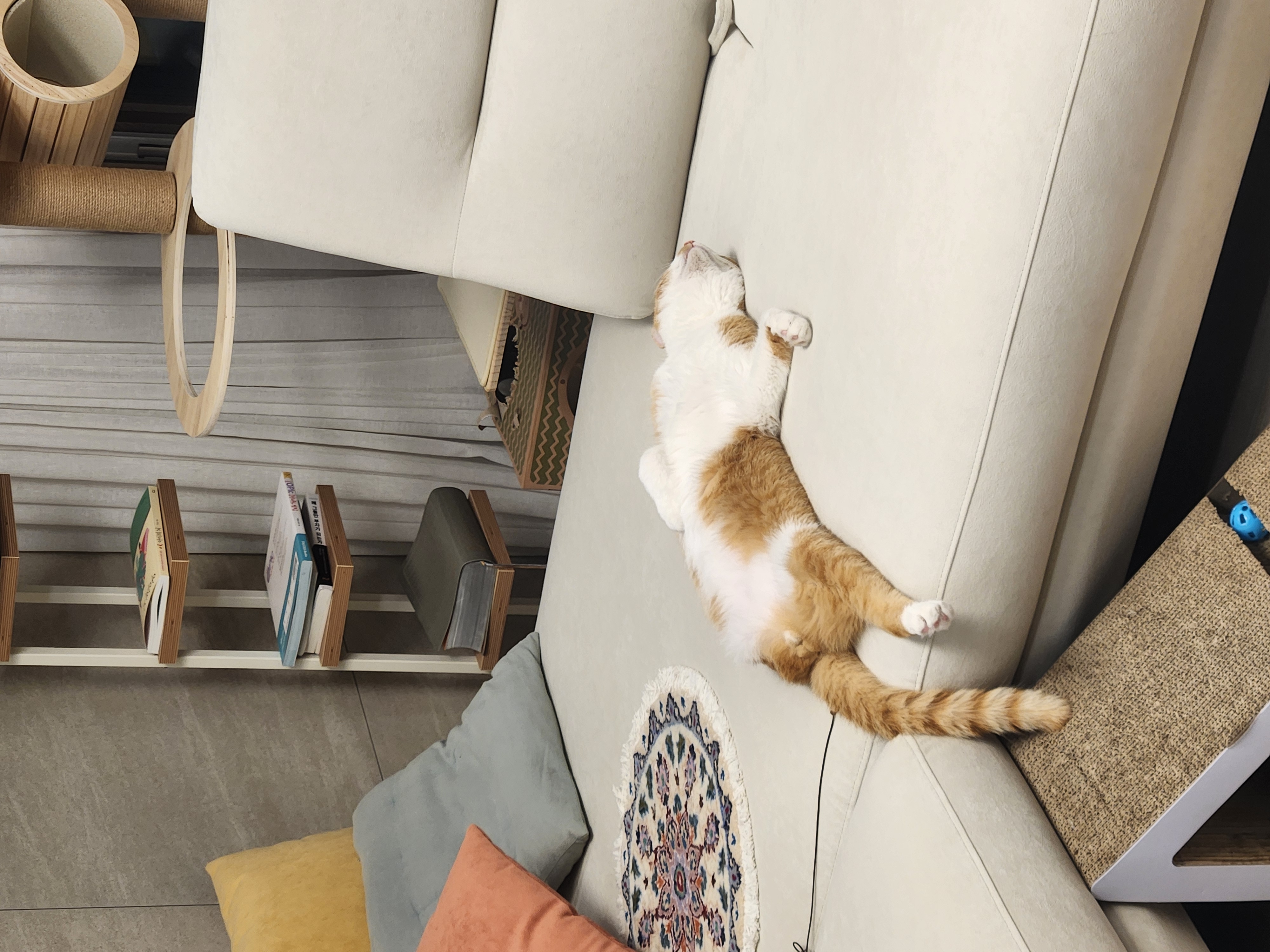 오들이 한달후기