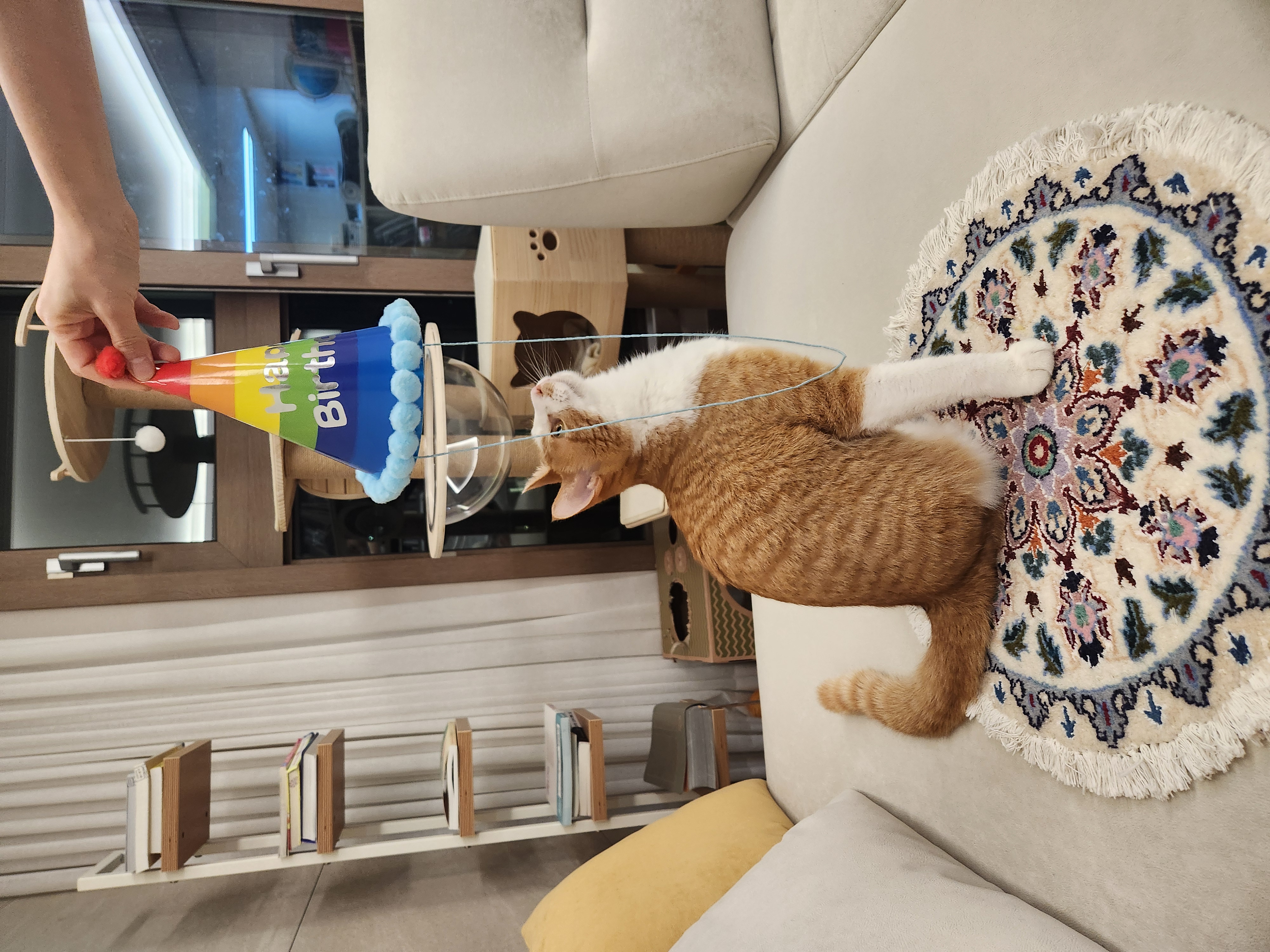 오들이 한달후기