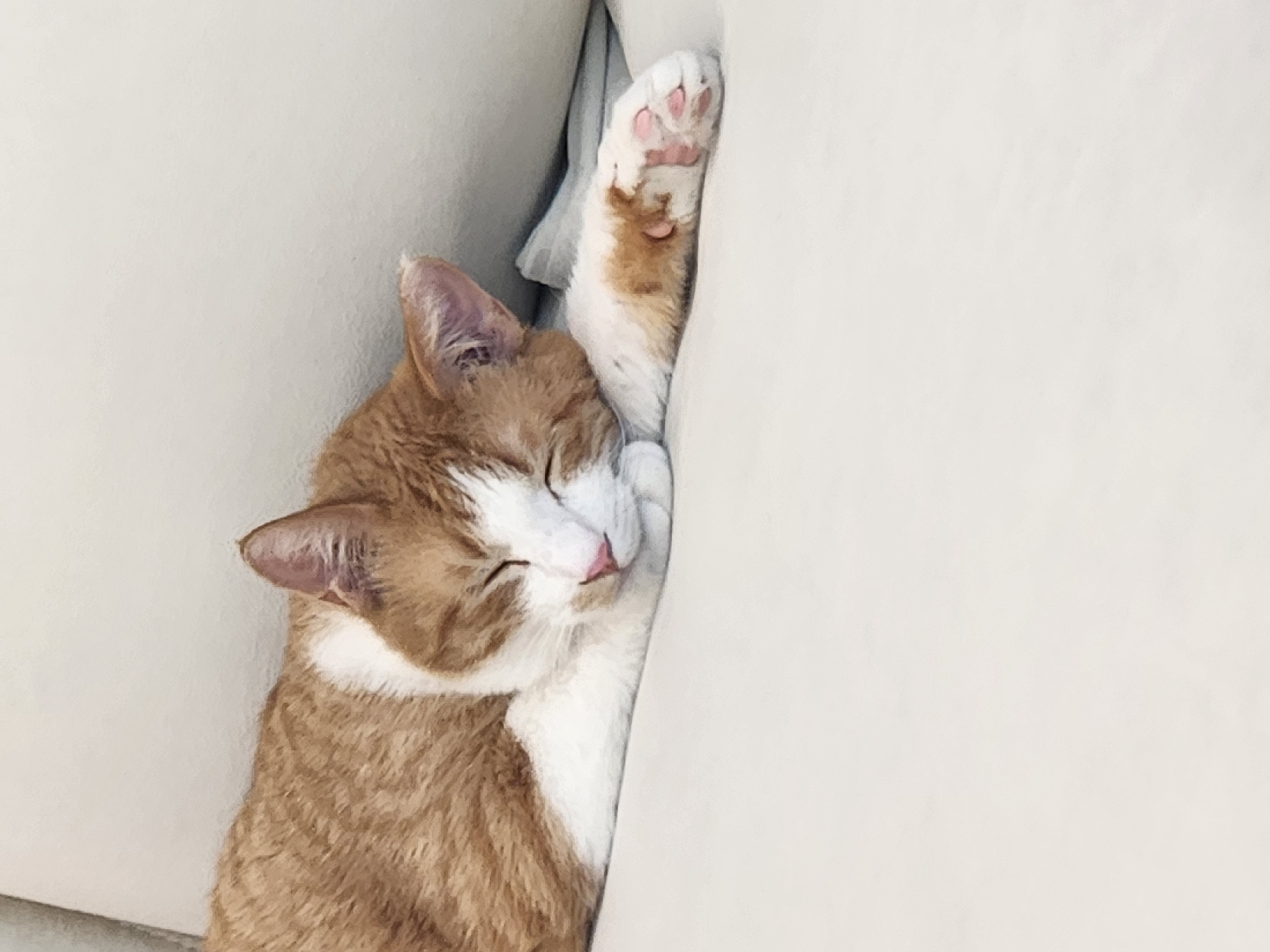 오들이 한달후기