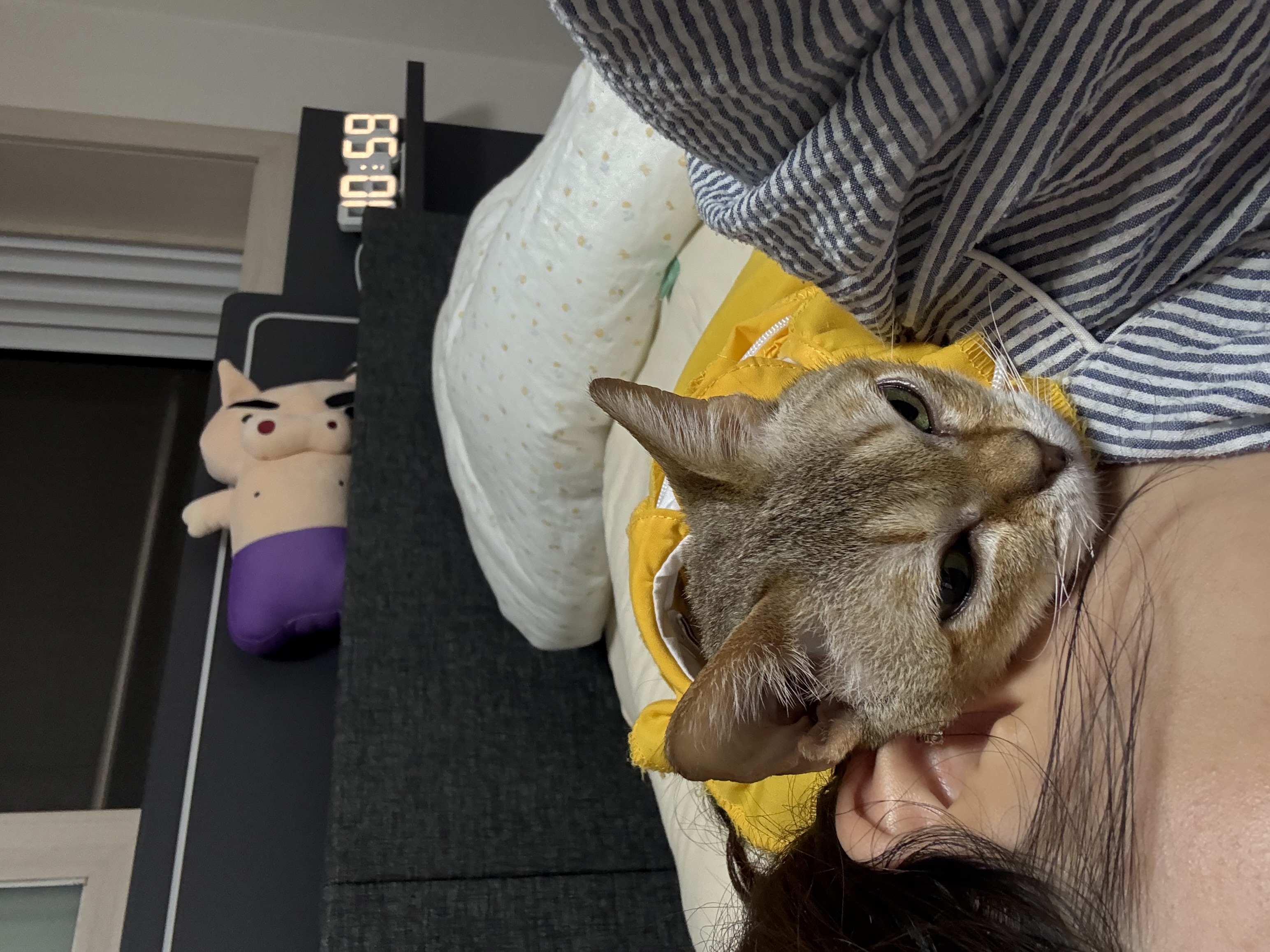 덕배(다요)와의 일주일차 적응기⭐️