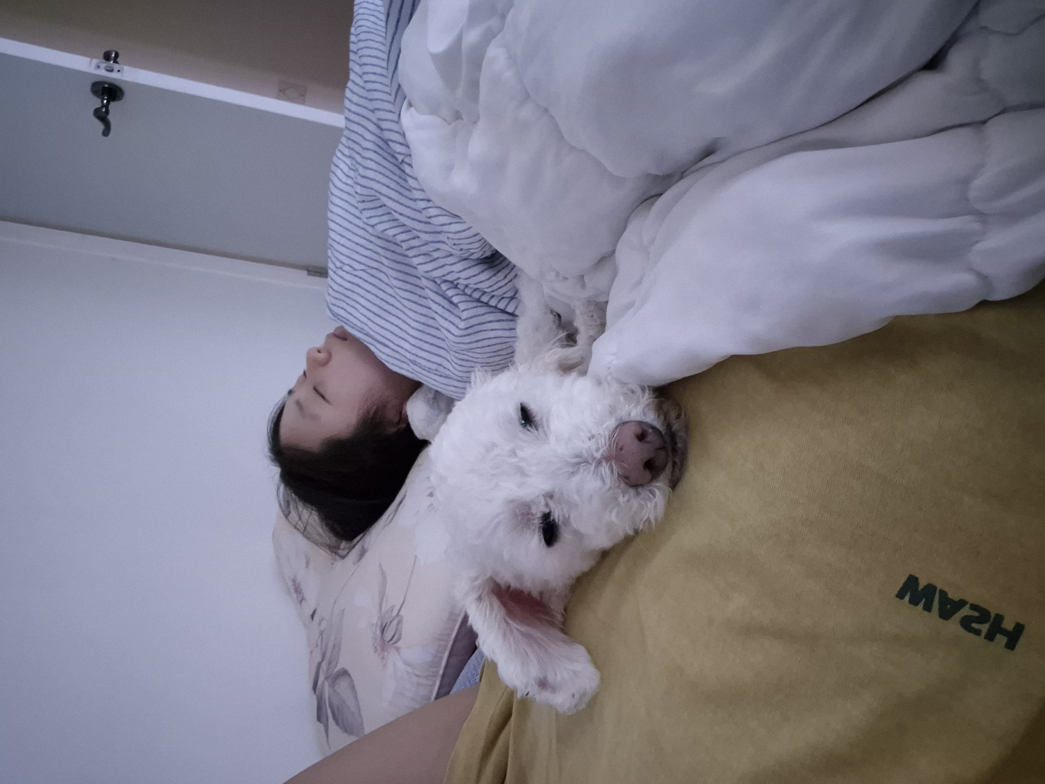 레일이(최고다) 동행 4년 후기
