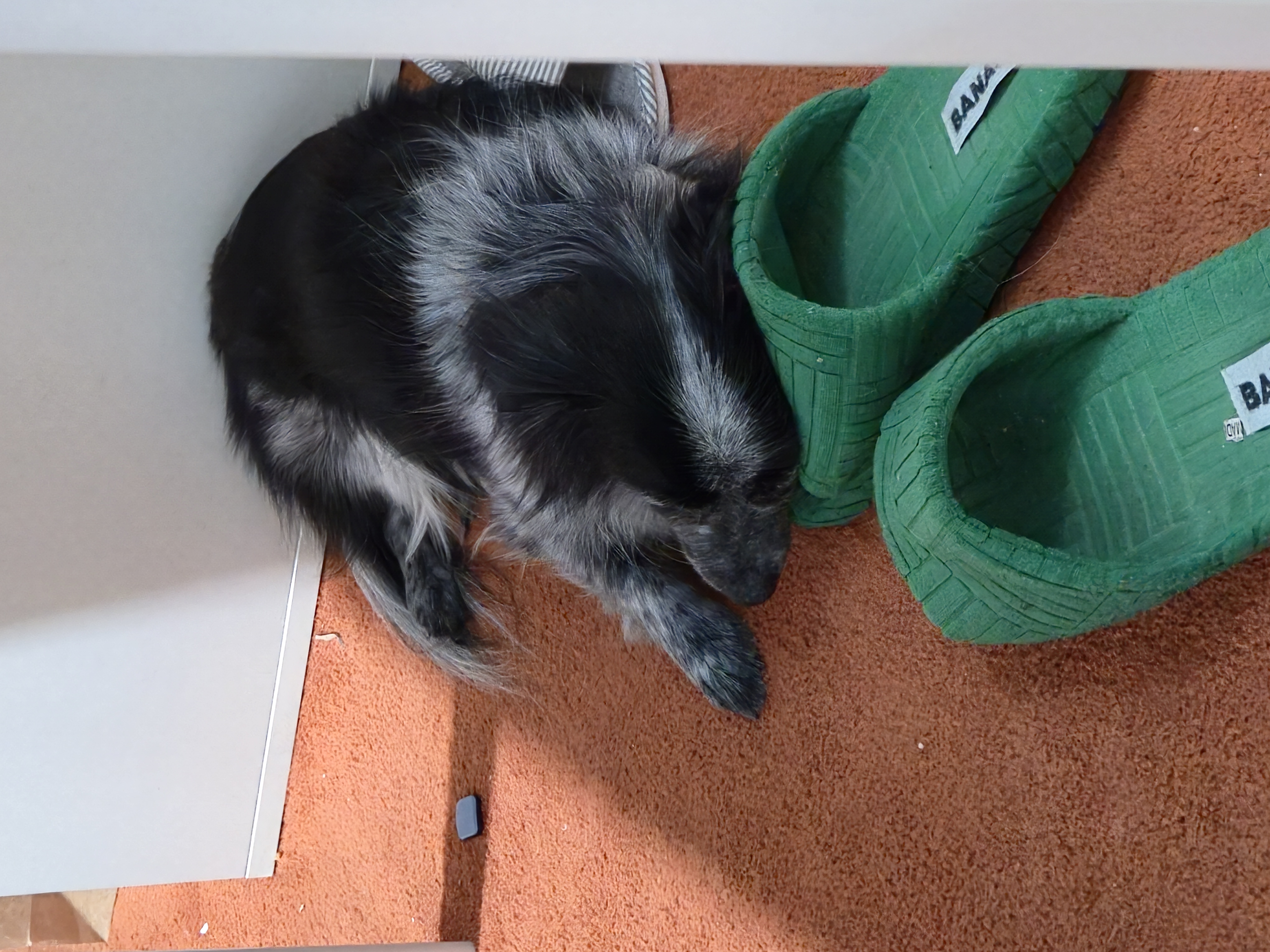 크루와 3주년이에요!