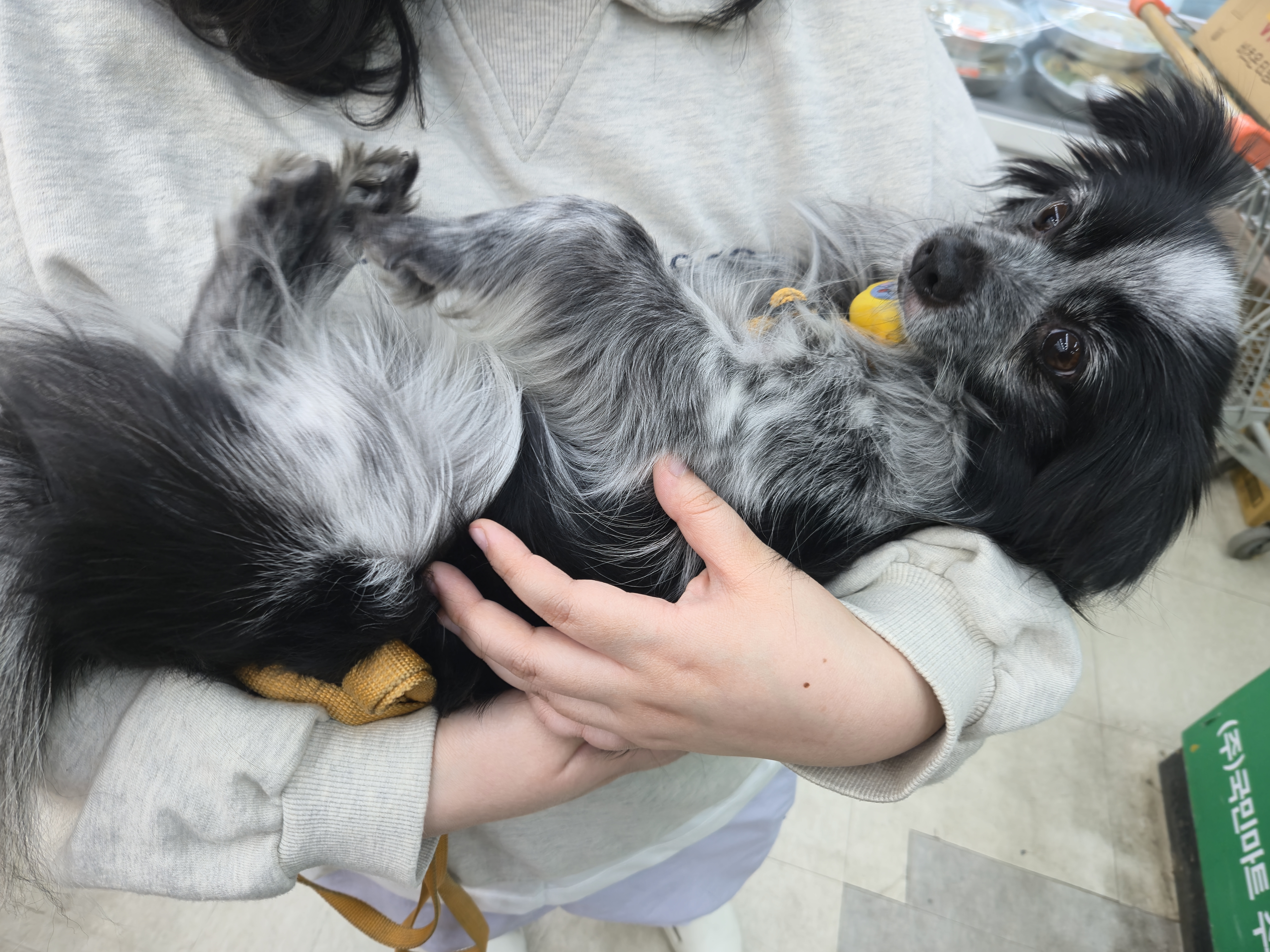 크루와 3주년이에요!