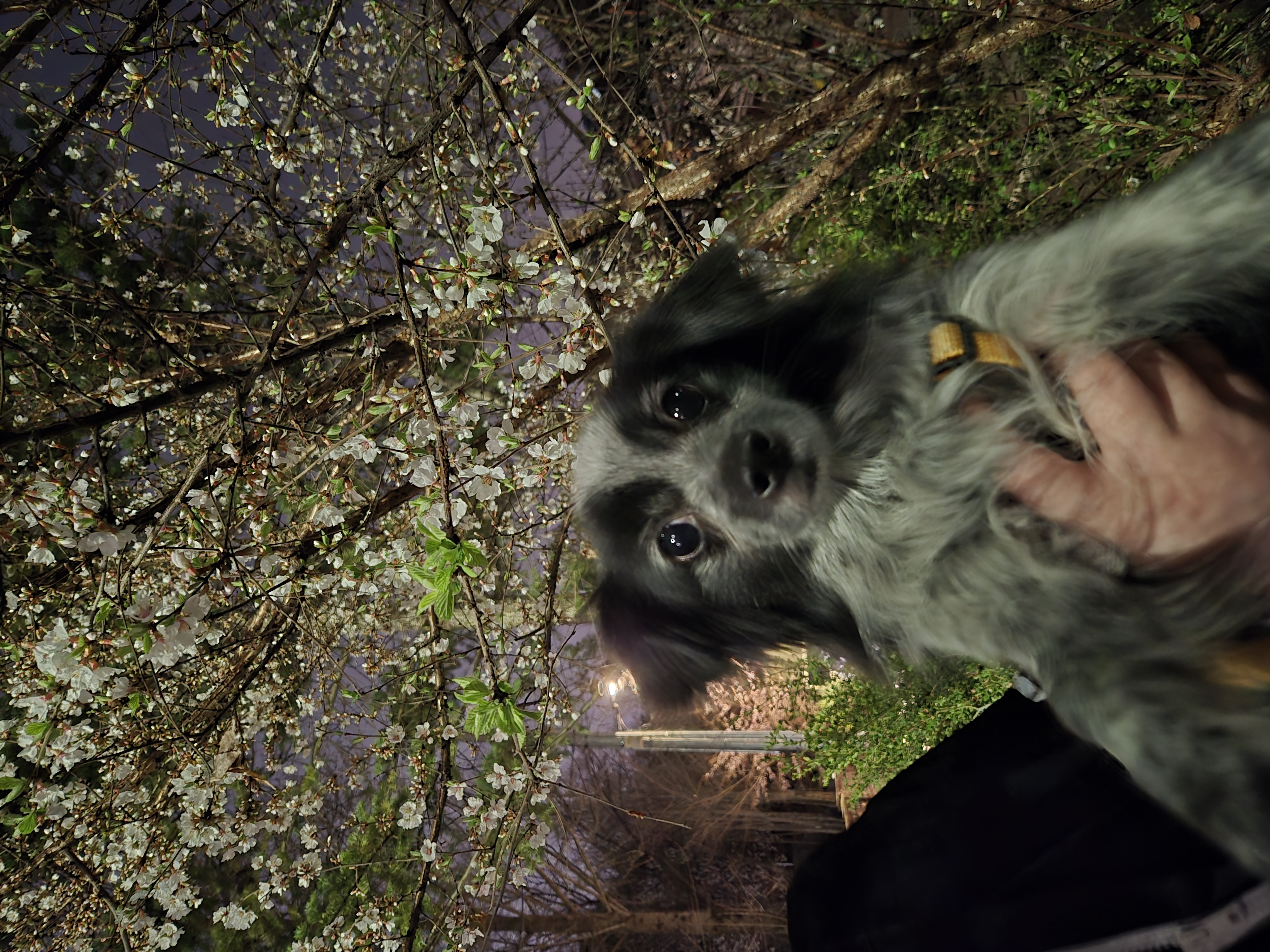 크루와 3주년이에요!