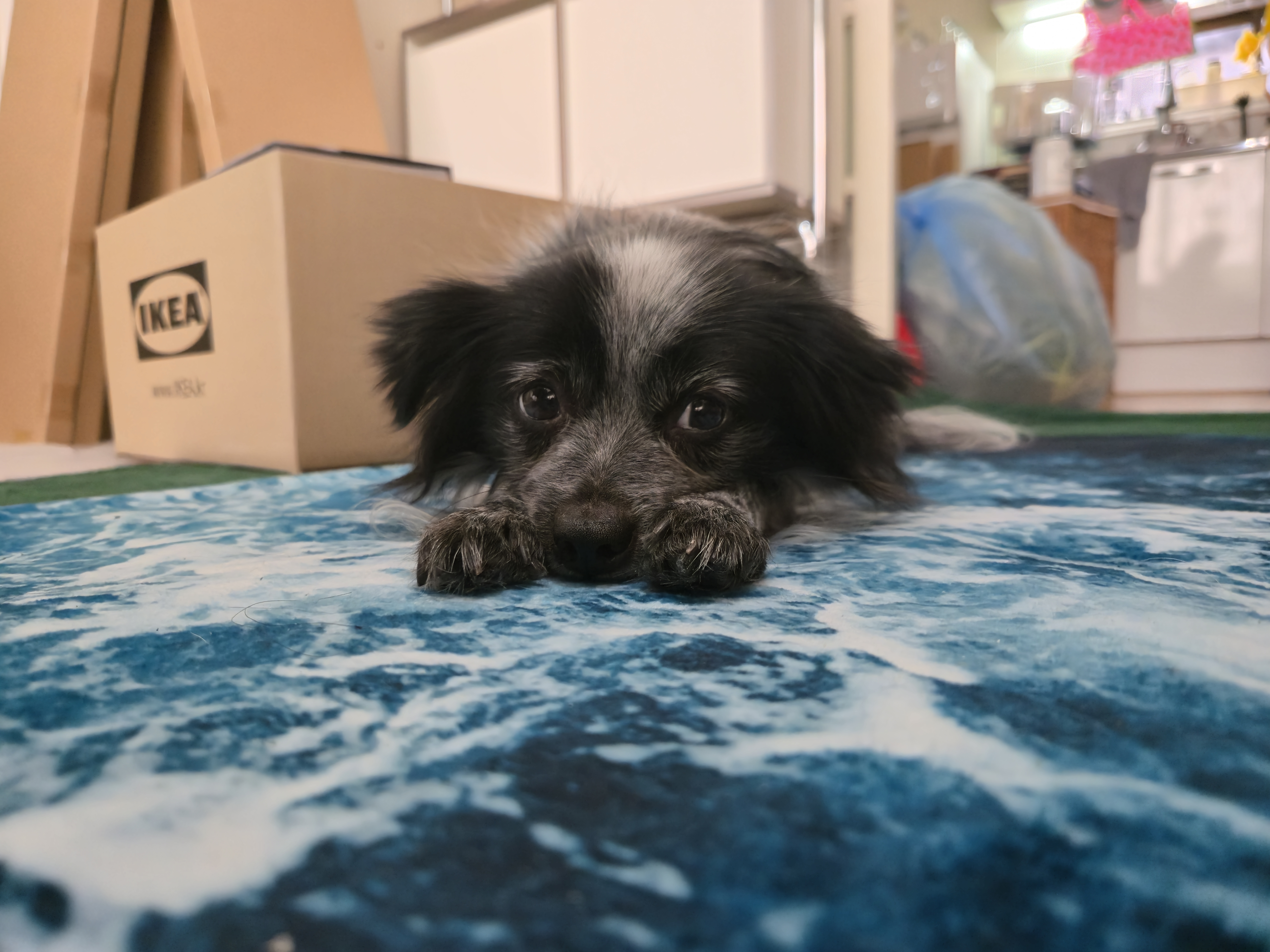 크루와 3주년이에요!