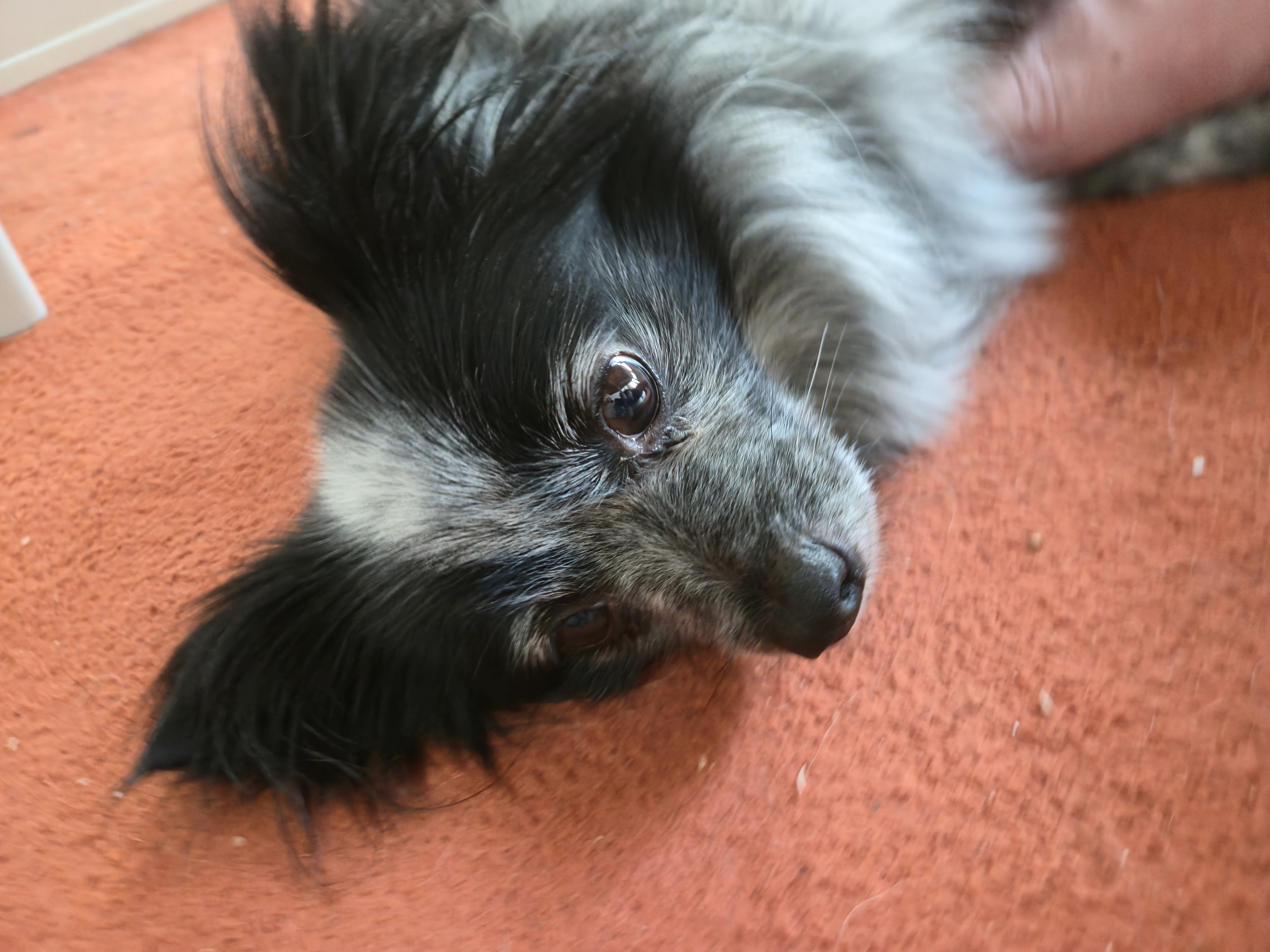 크루와 3주년이에요!