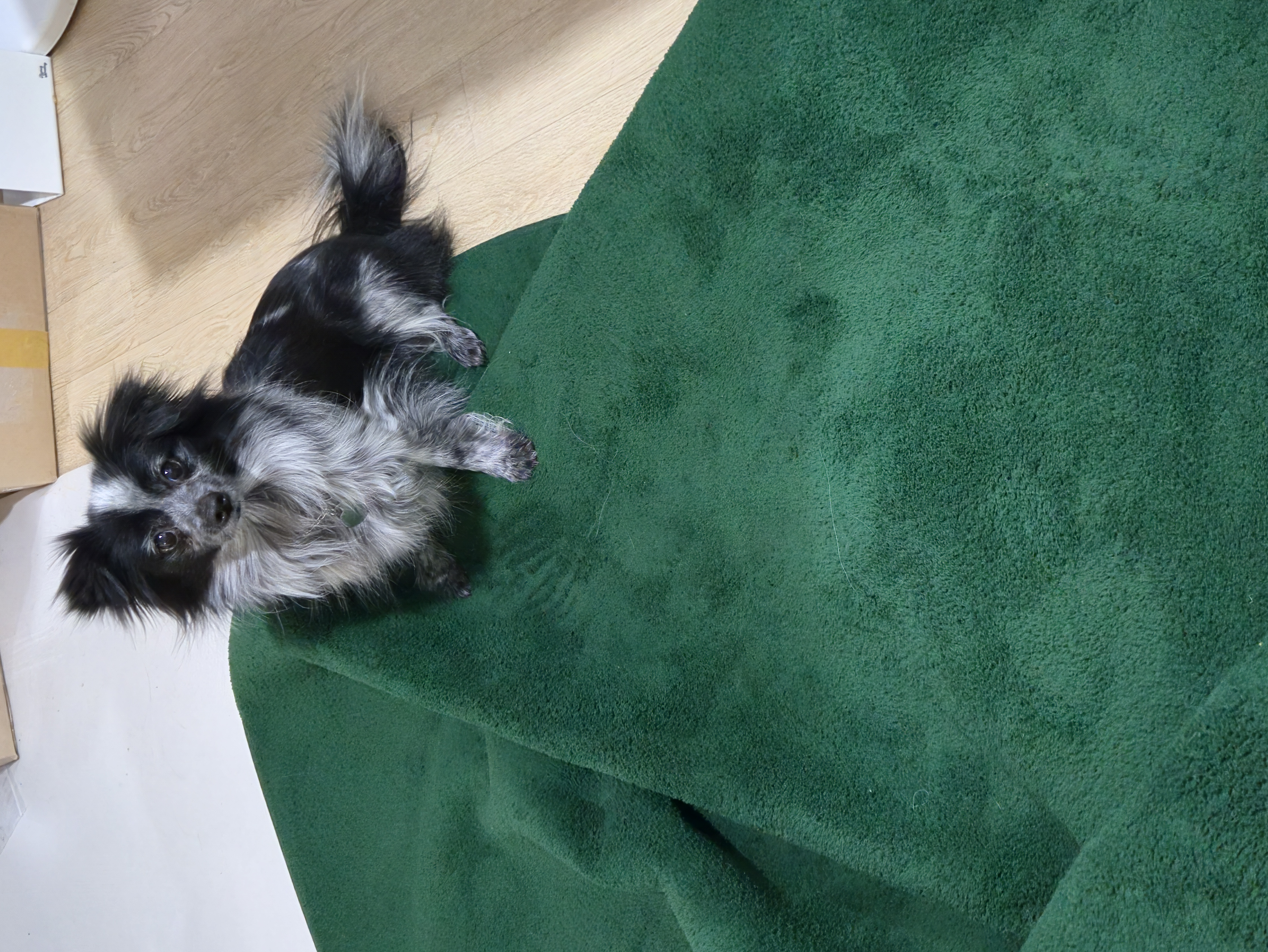 크루와 3주년이에요!