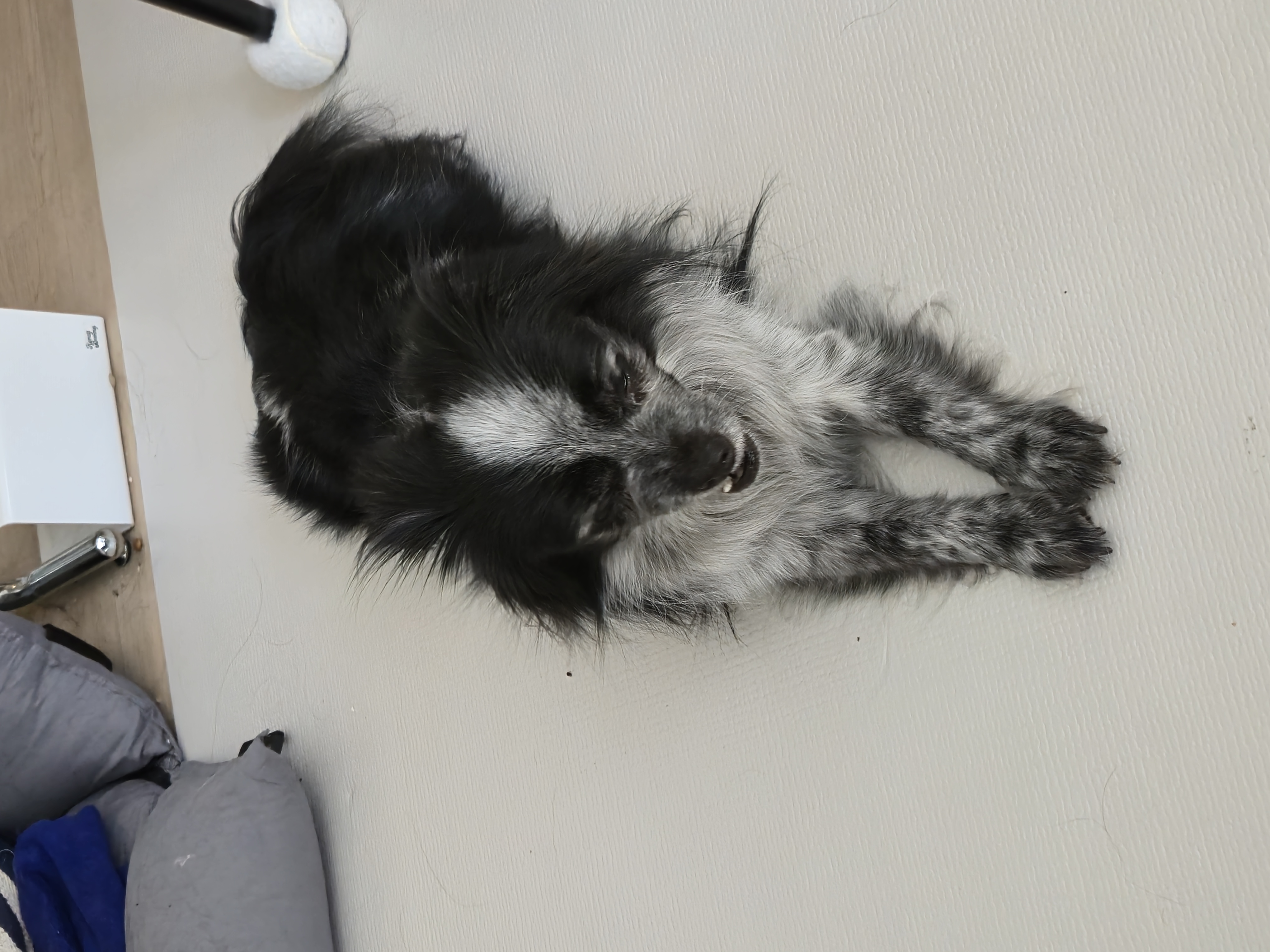 크루와 3주년이에요!