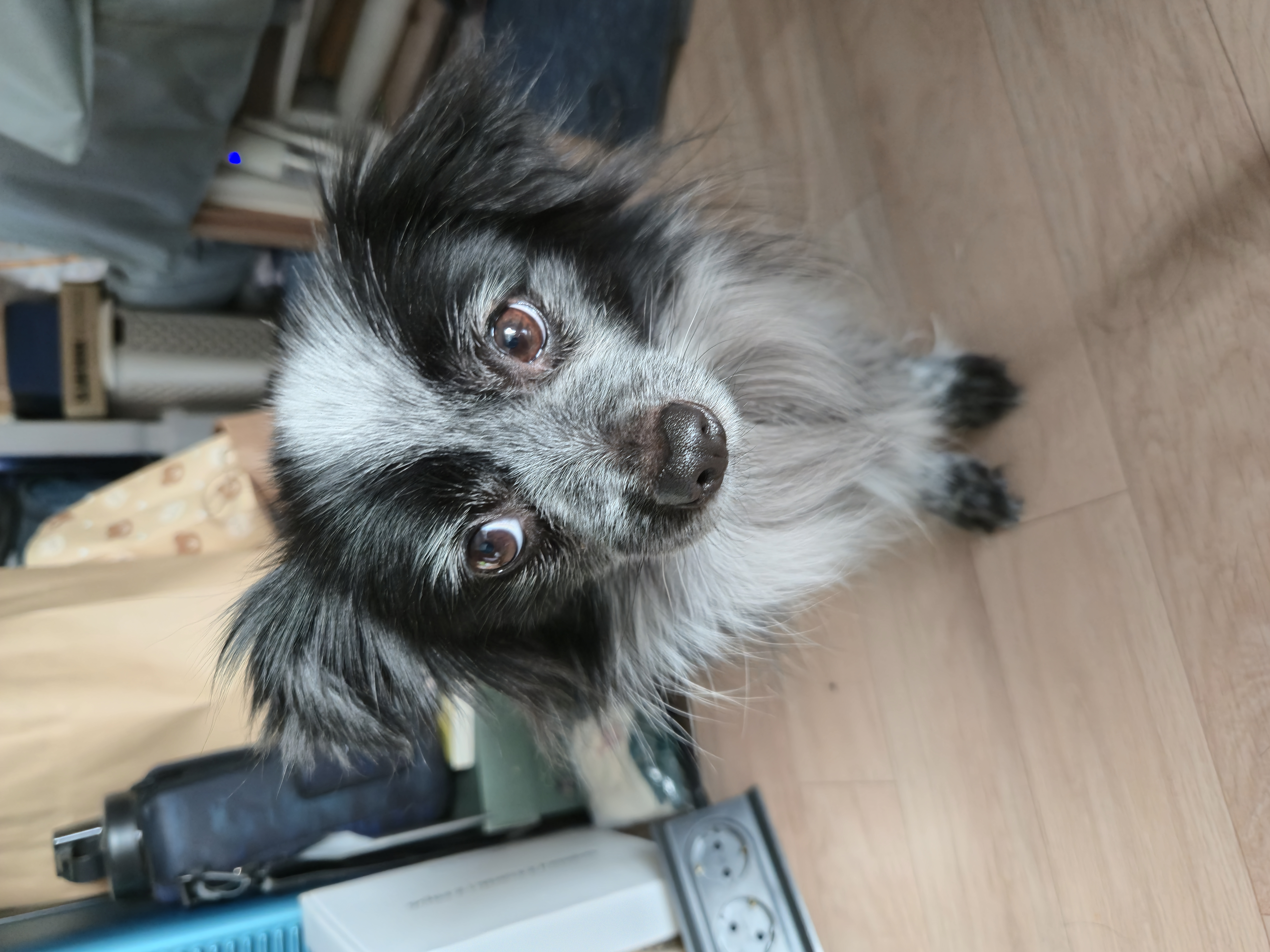 크루와 3주년이에요!