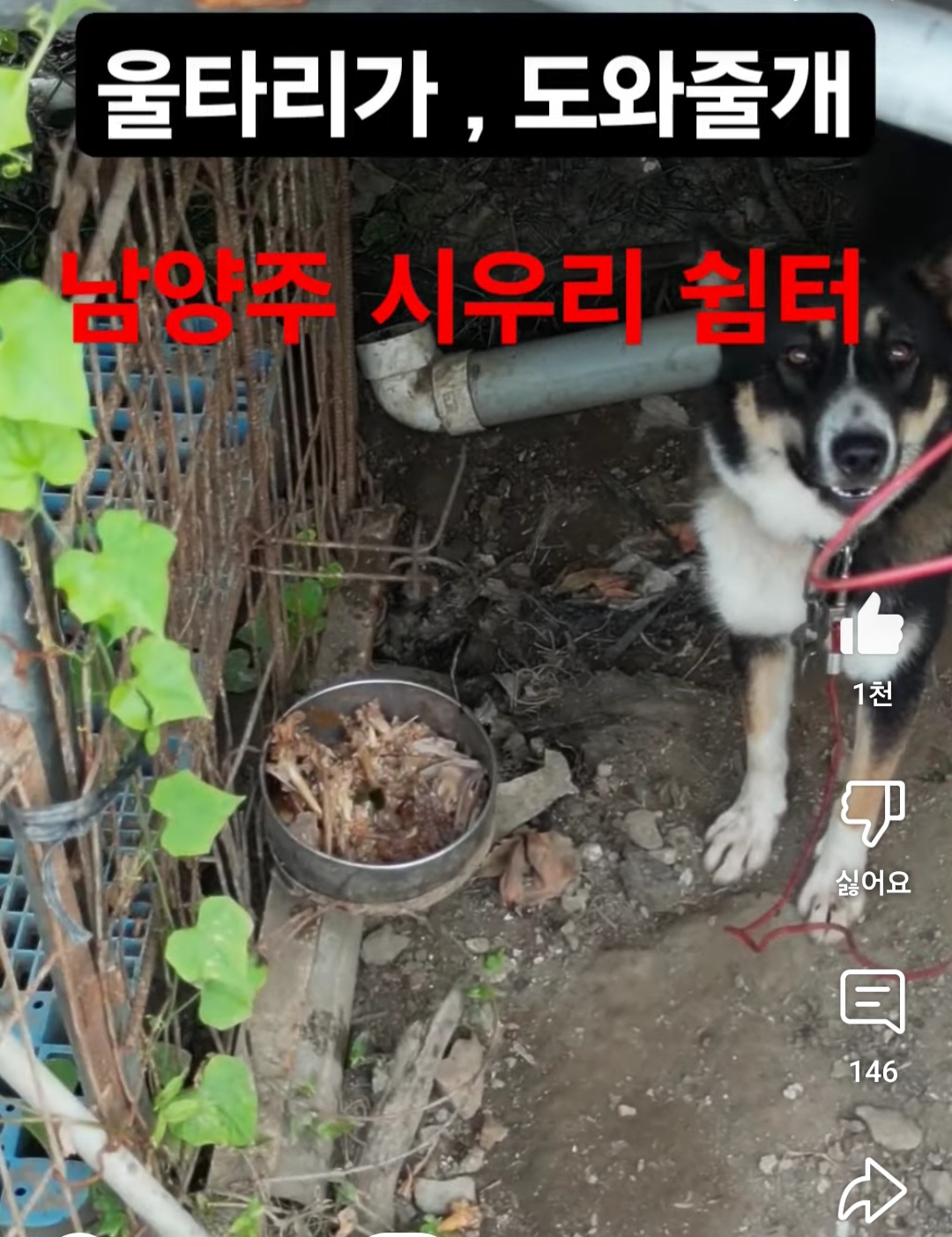 지자체에서    도사아이들을   ,  단체도    아닌    훈련소에   기증이   가능한   일인가요??!!