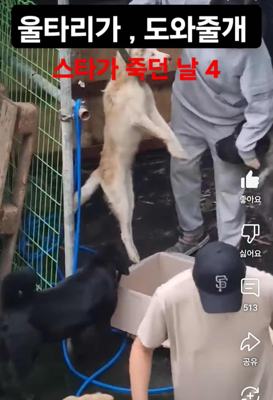 지자체에서    도사아이들을   ,  단체도    아닌    훈련소에   기증이   가능한   일인가요??!!