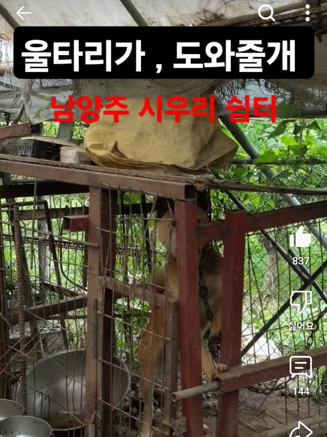 지자체에서    도사아이들을   ,  단체도    아닌    훈련소에   기증이   가능한   일인가요??!!
