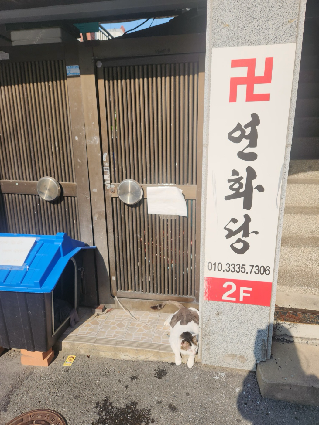 신당 밑에 1미터도 안되는 줄에 묶여사는 고양이
