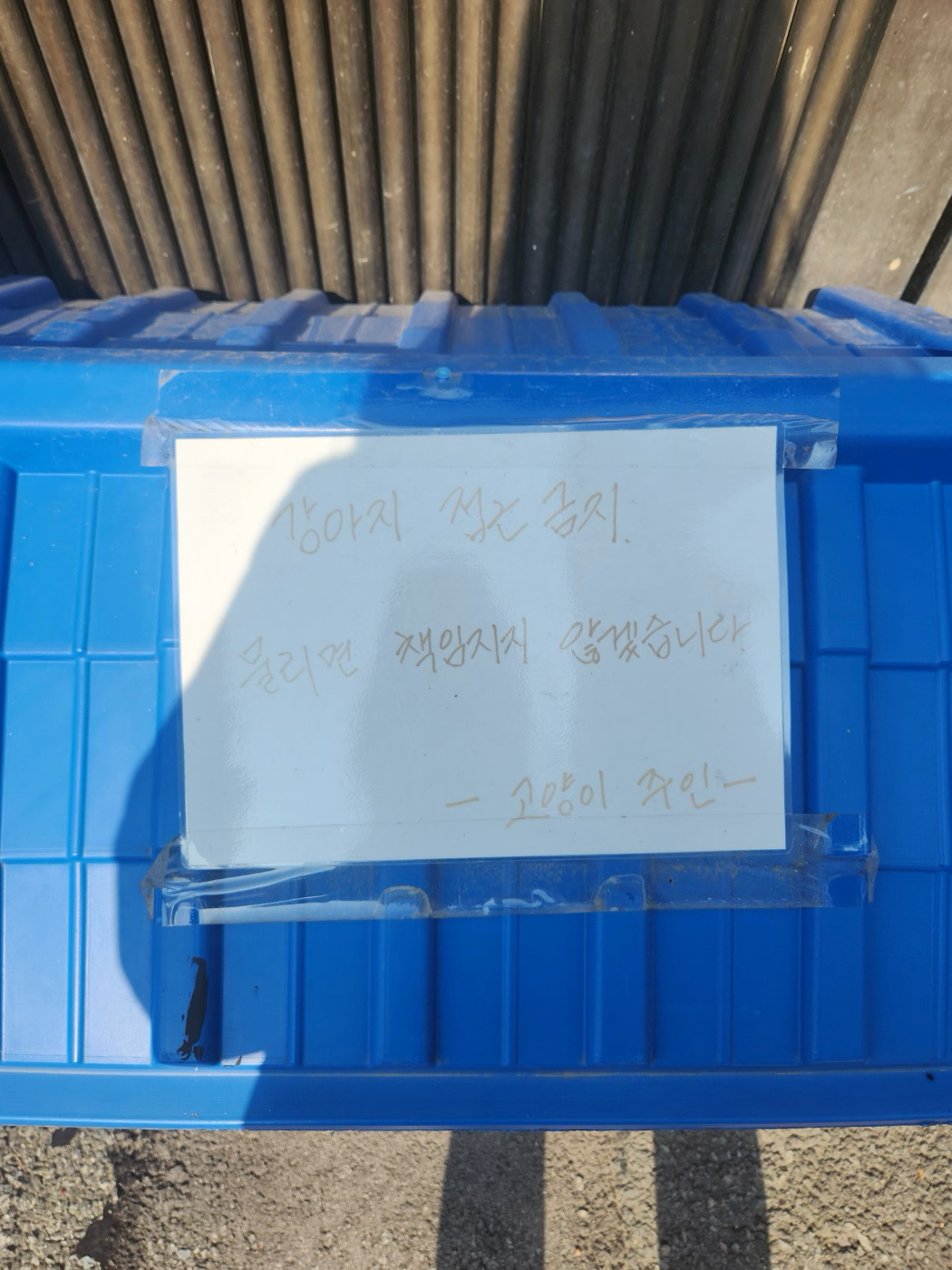 신당 밑에 1미터도 안되는 줄에 묶여사는 고양이