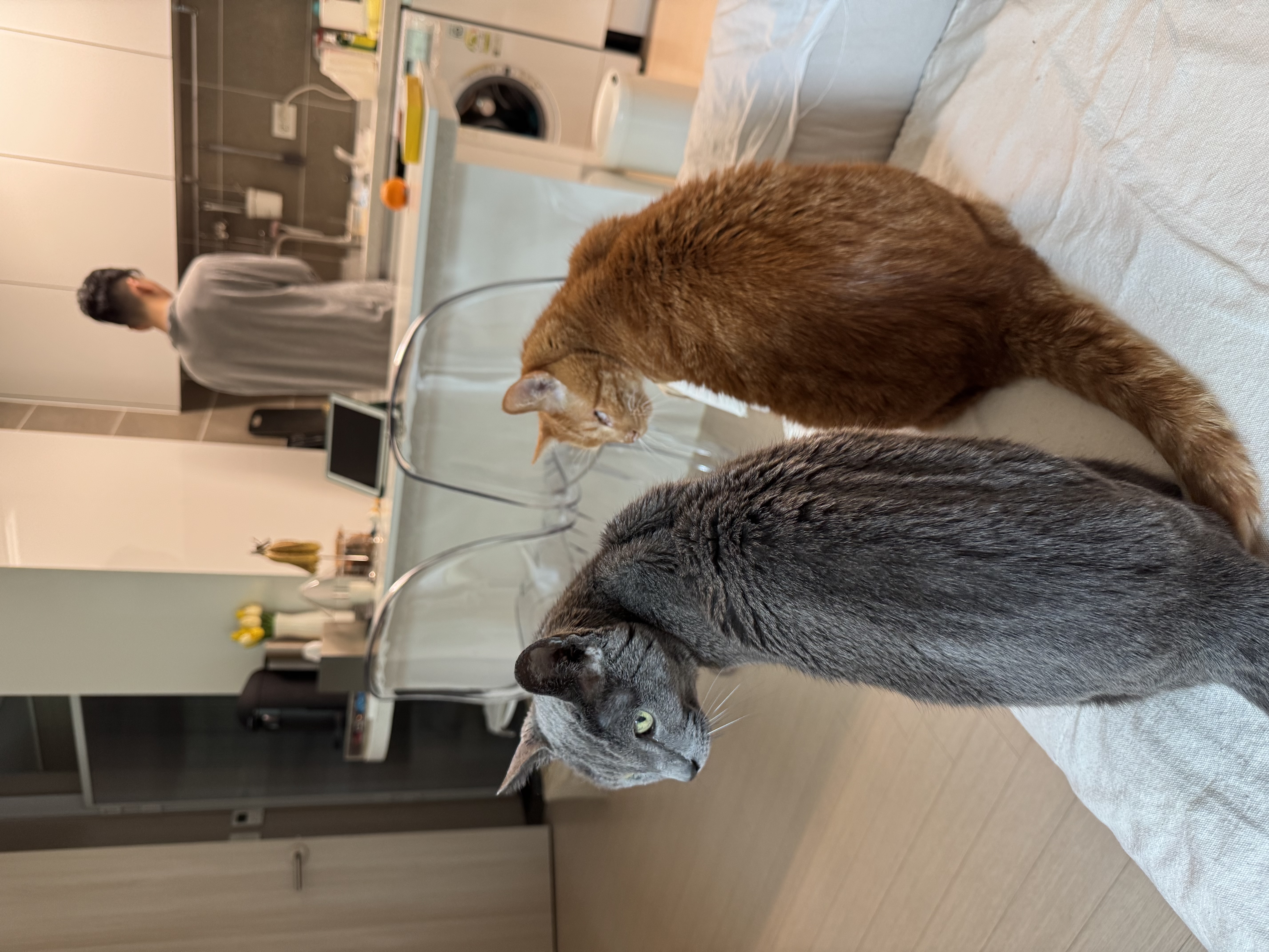 삐용이와 함께한 소중한 3년, 그리고 앞으로도 계속될 행복