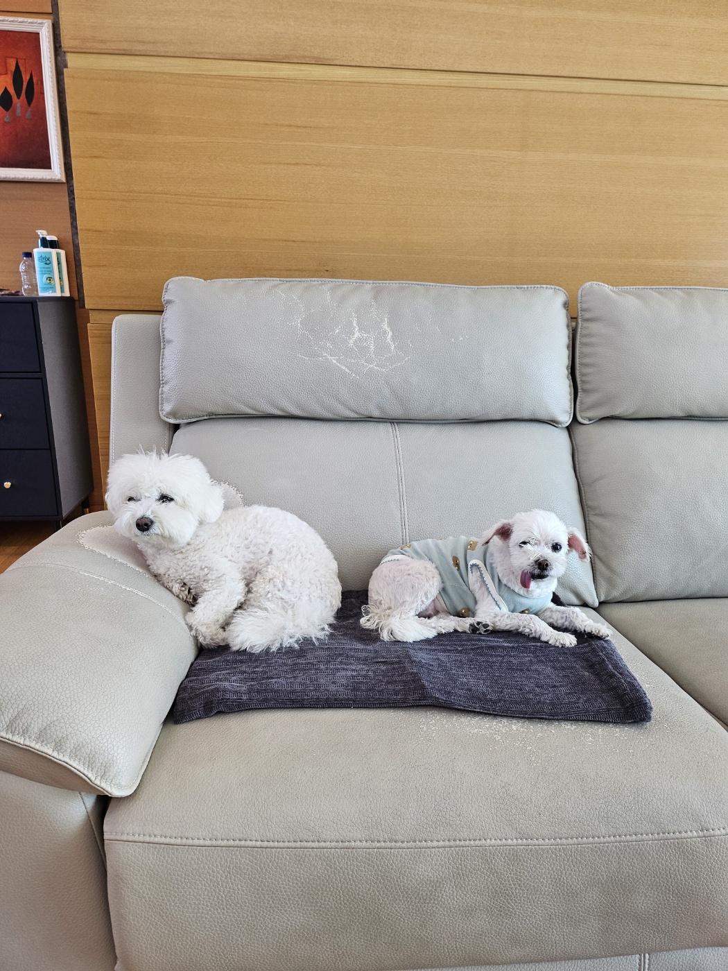 바로와 1년 그 후