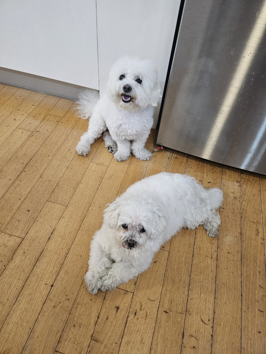 바로와 1년 그 후