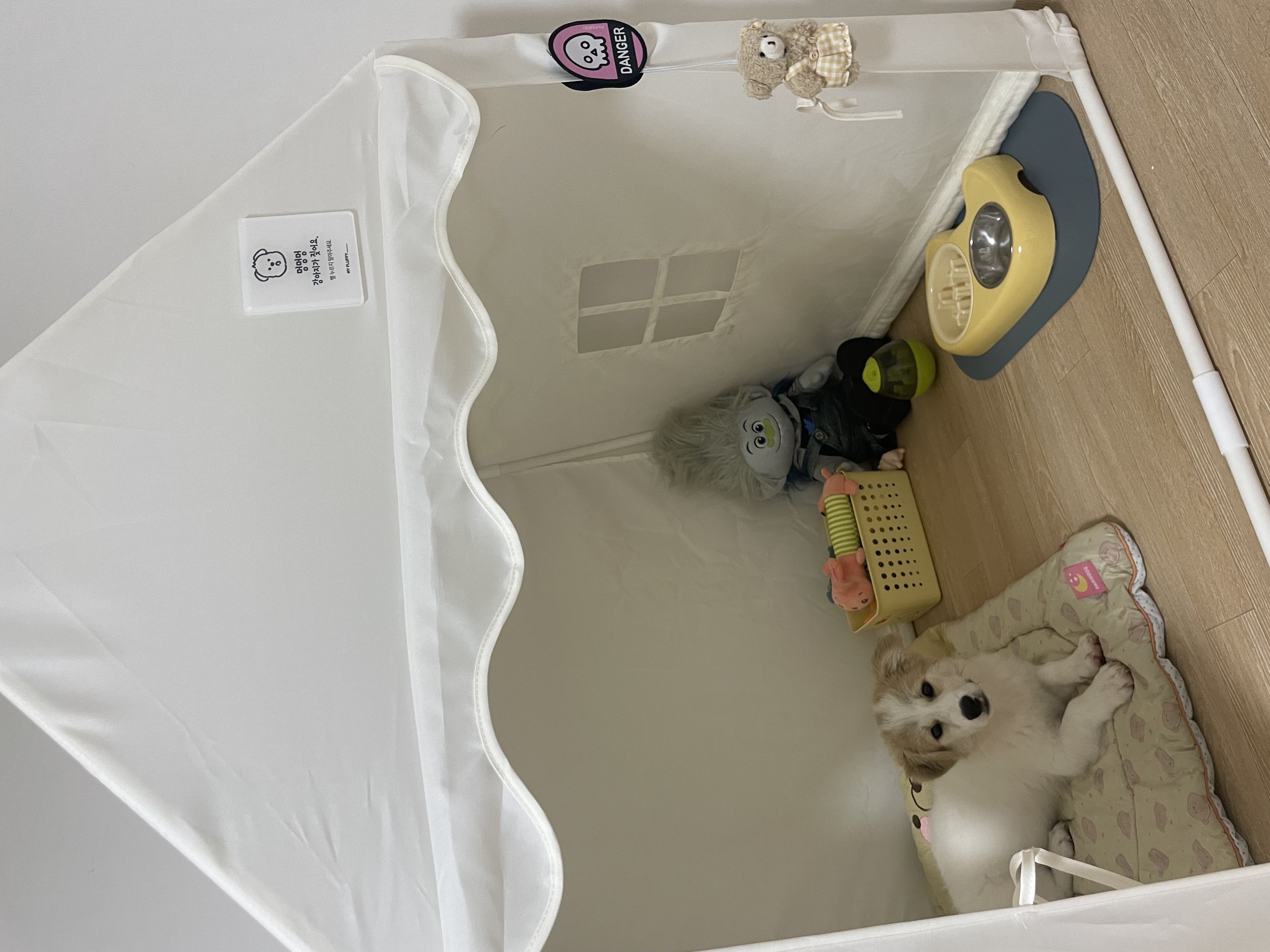 그냥 내새꾸 자랑하고싶어 올리는후기(모랑)