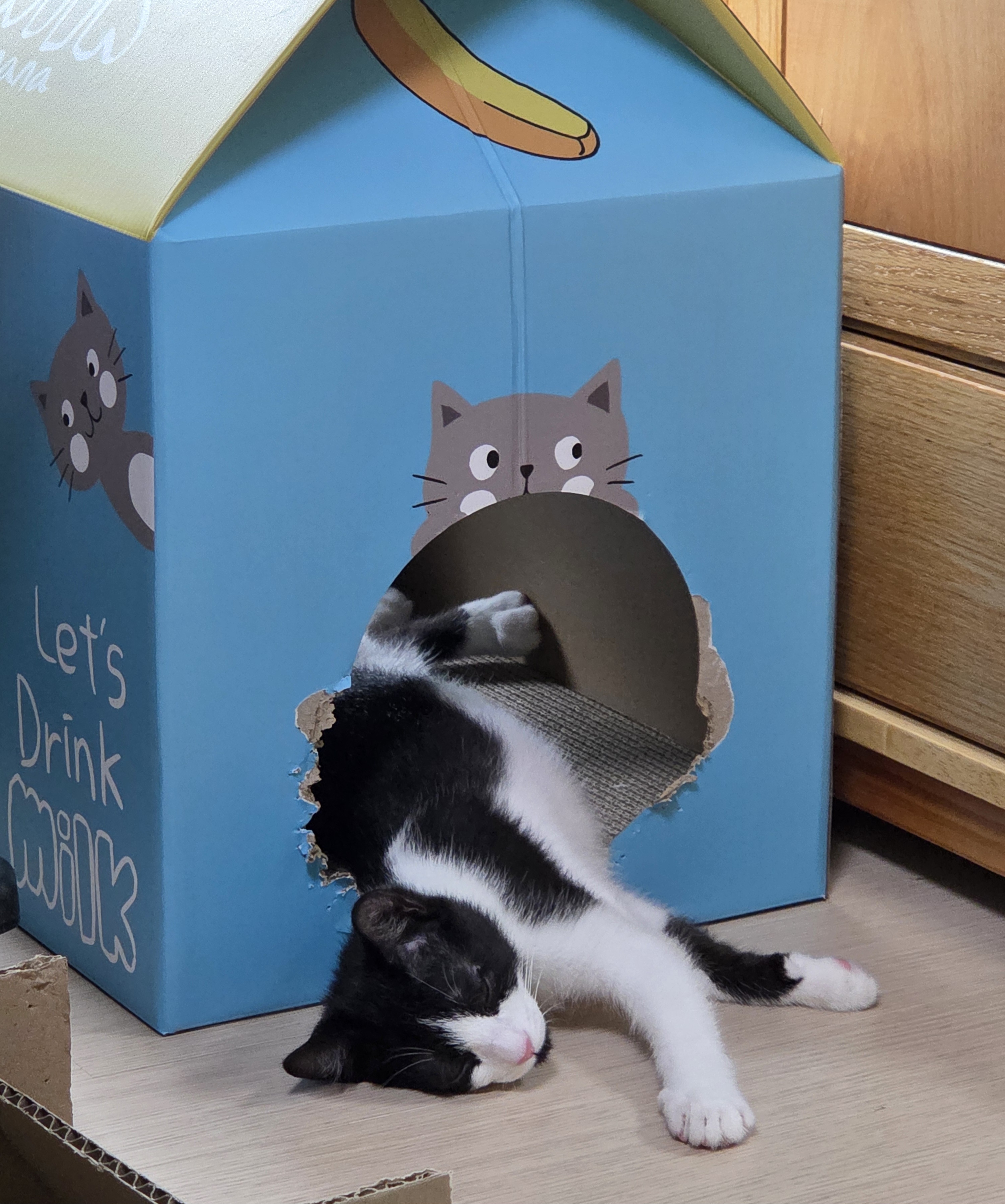 잉크 (턱이) 3개월 후기