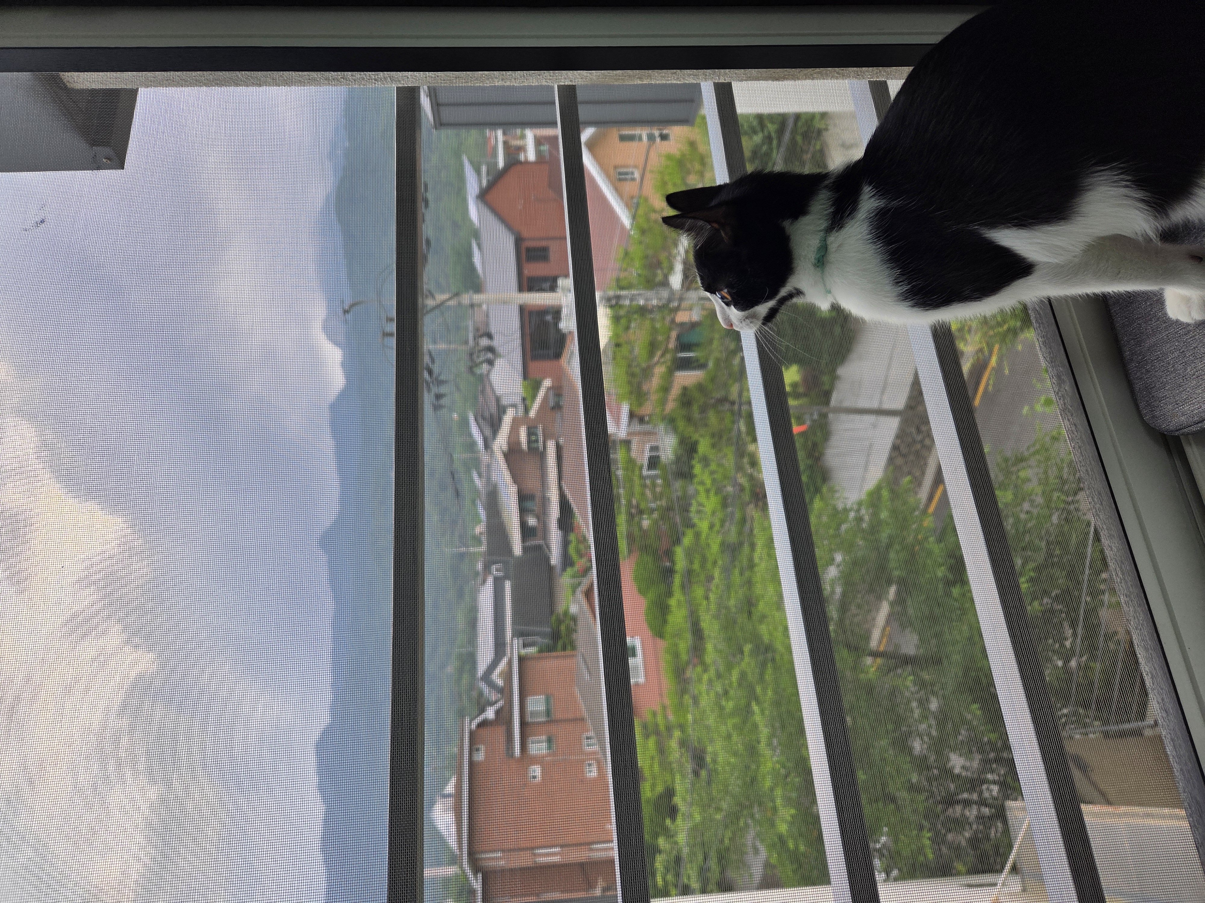 잉크 (턱이) 3개월 후기