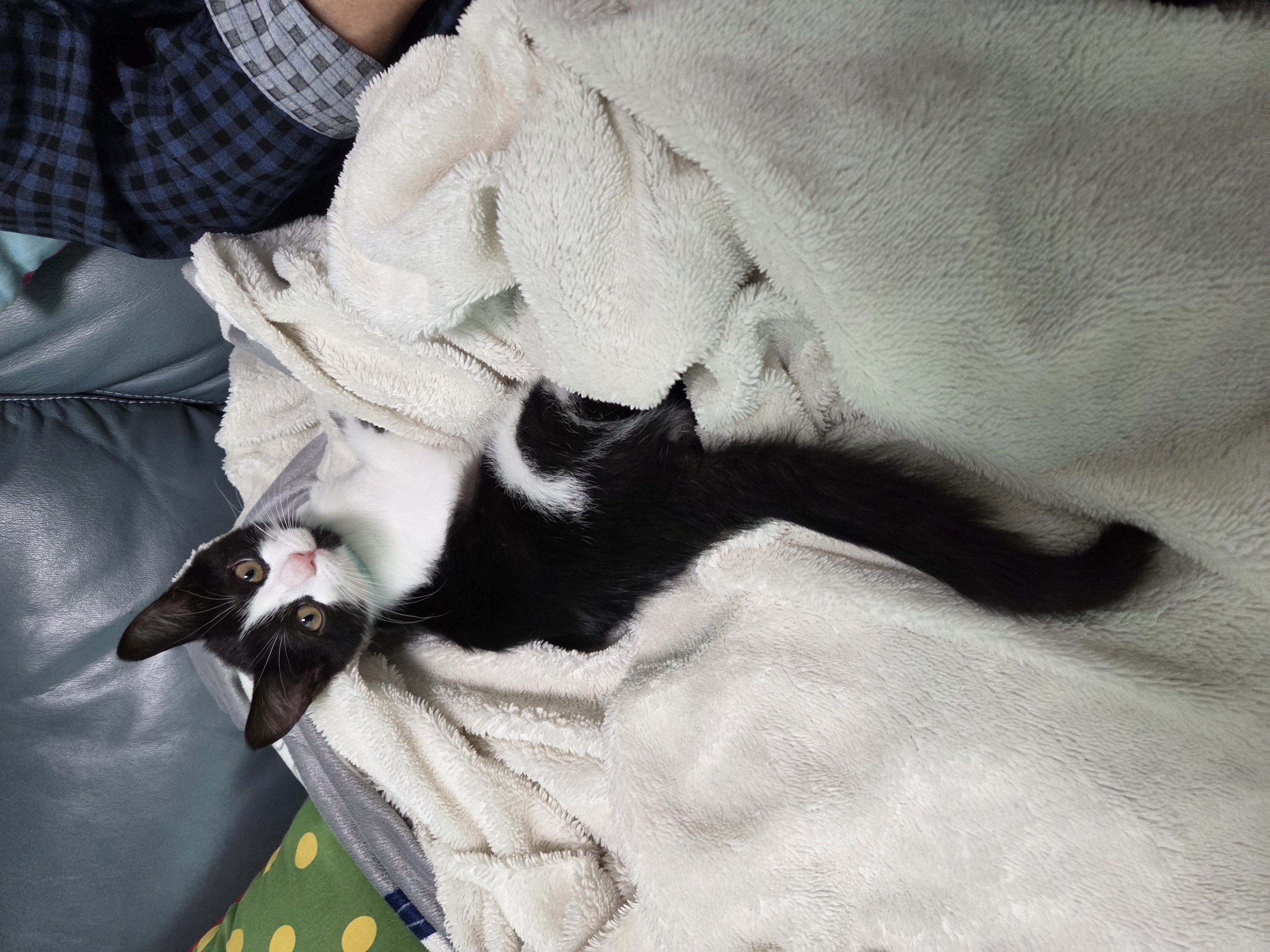 잉크 (턱이) 3개월 후기