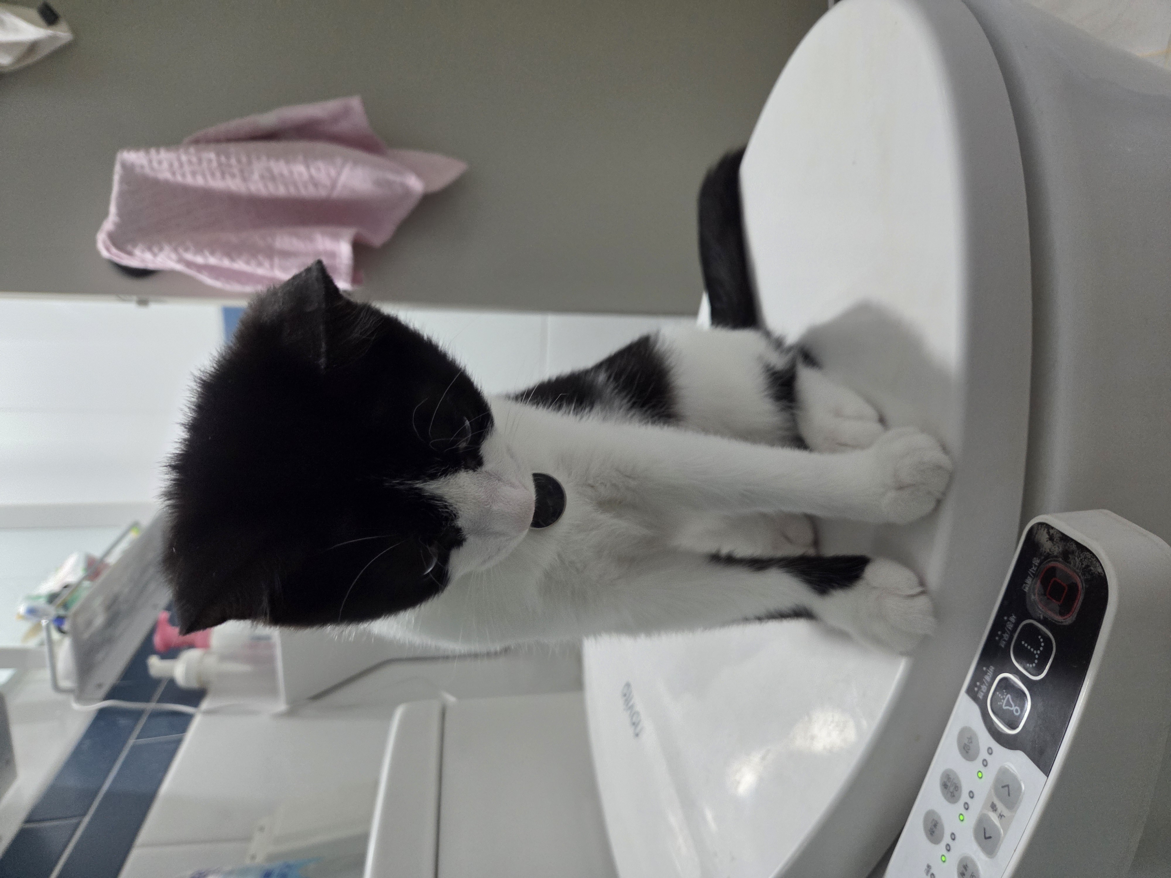 잉크 (턱이) 3개월 후기