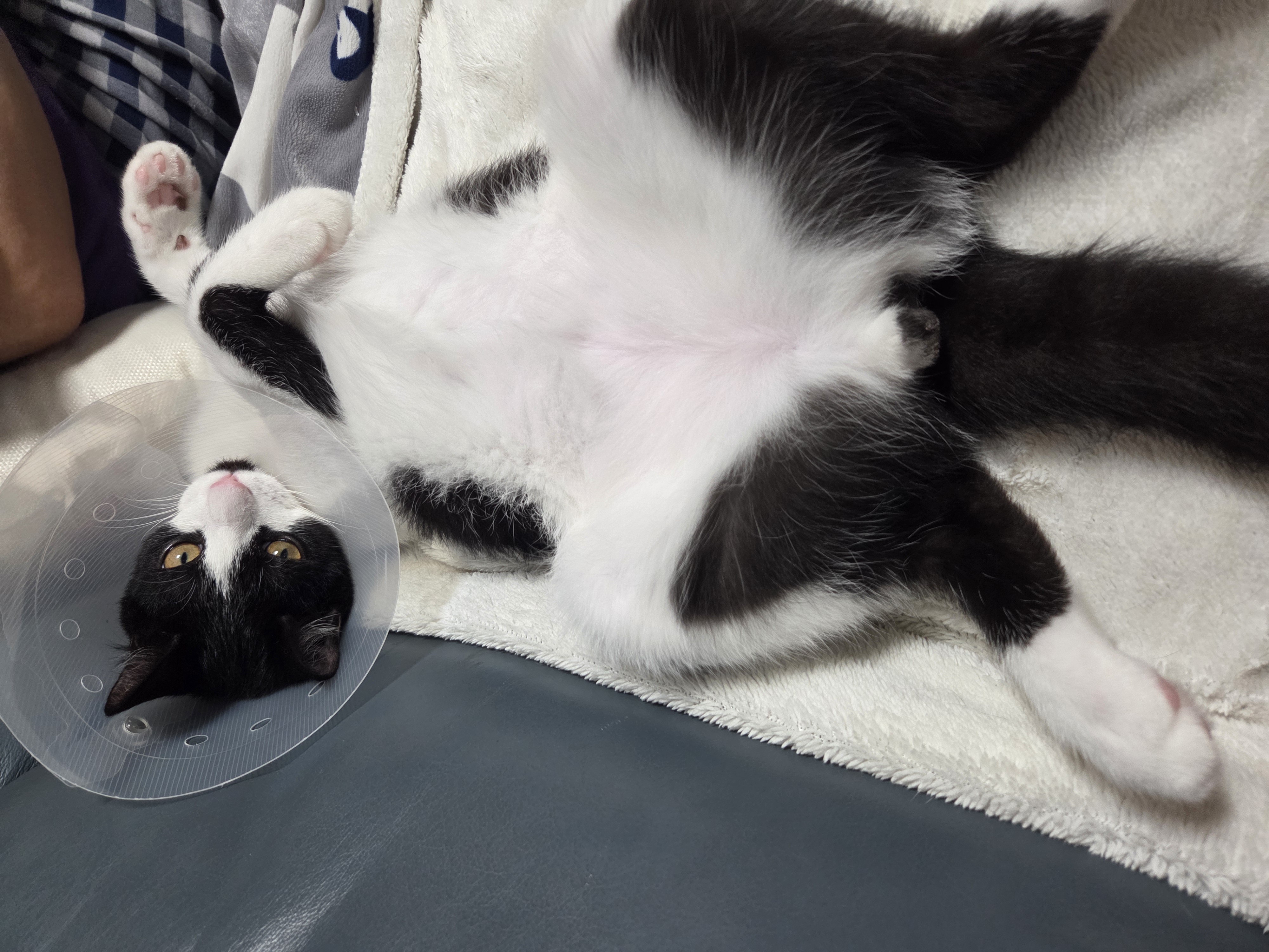 잉크 (턱이) 3개월 후기