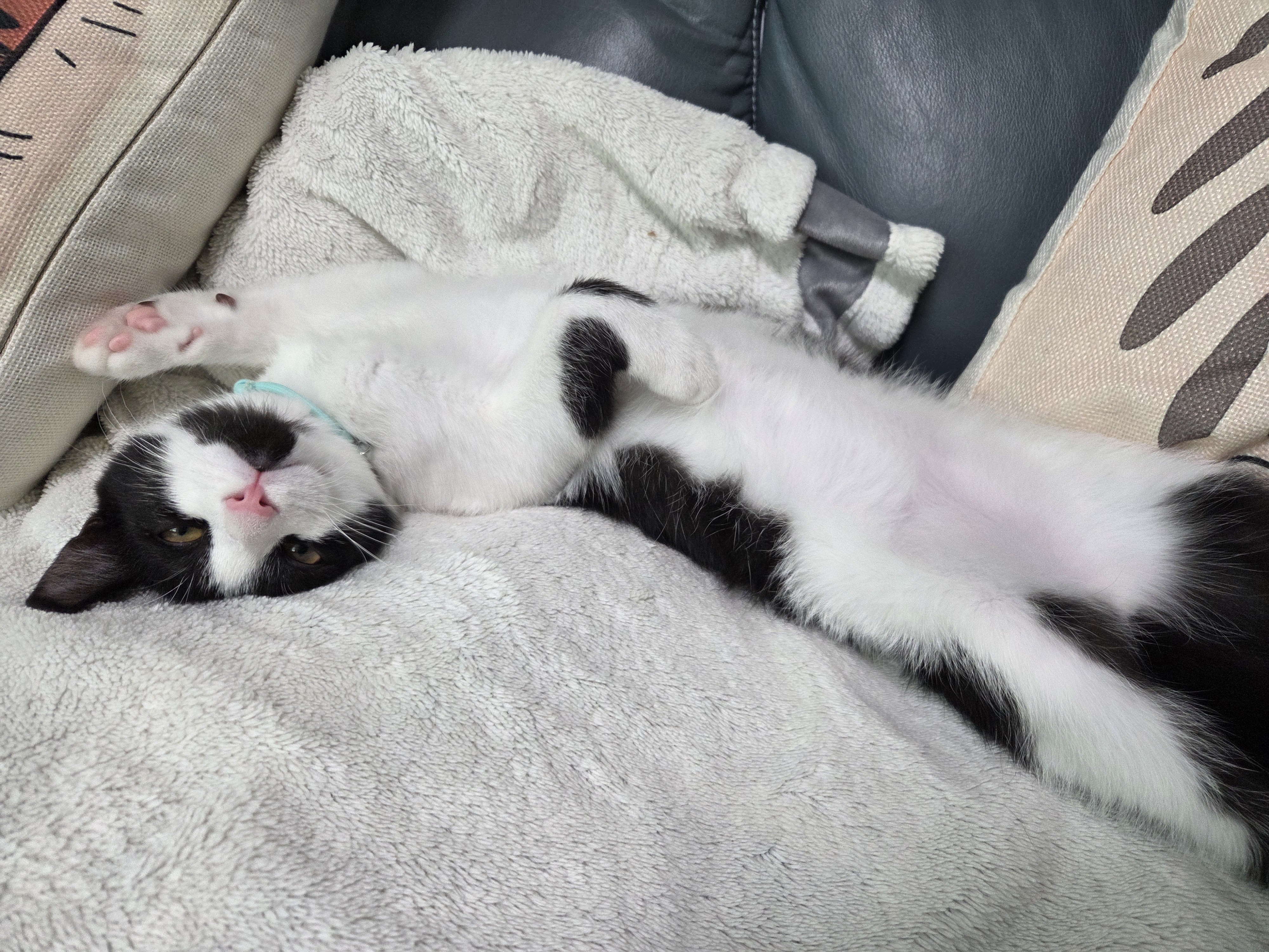 잉크 (턱이) 3개월 후기