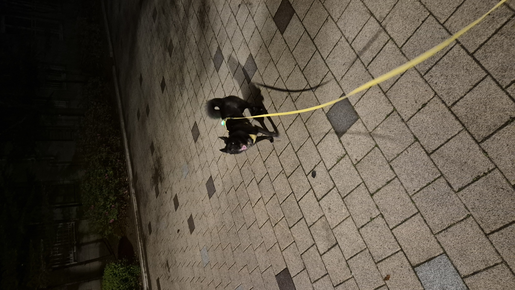 달곰이(무지개-옐로우) 이야기