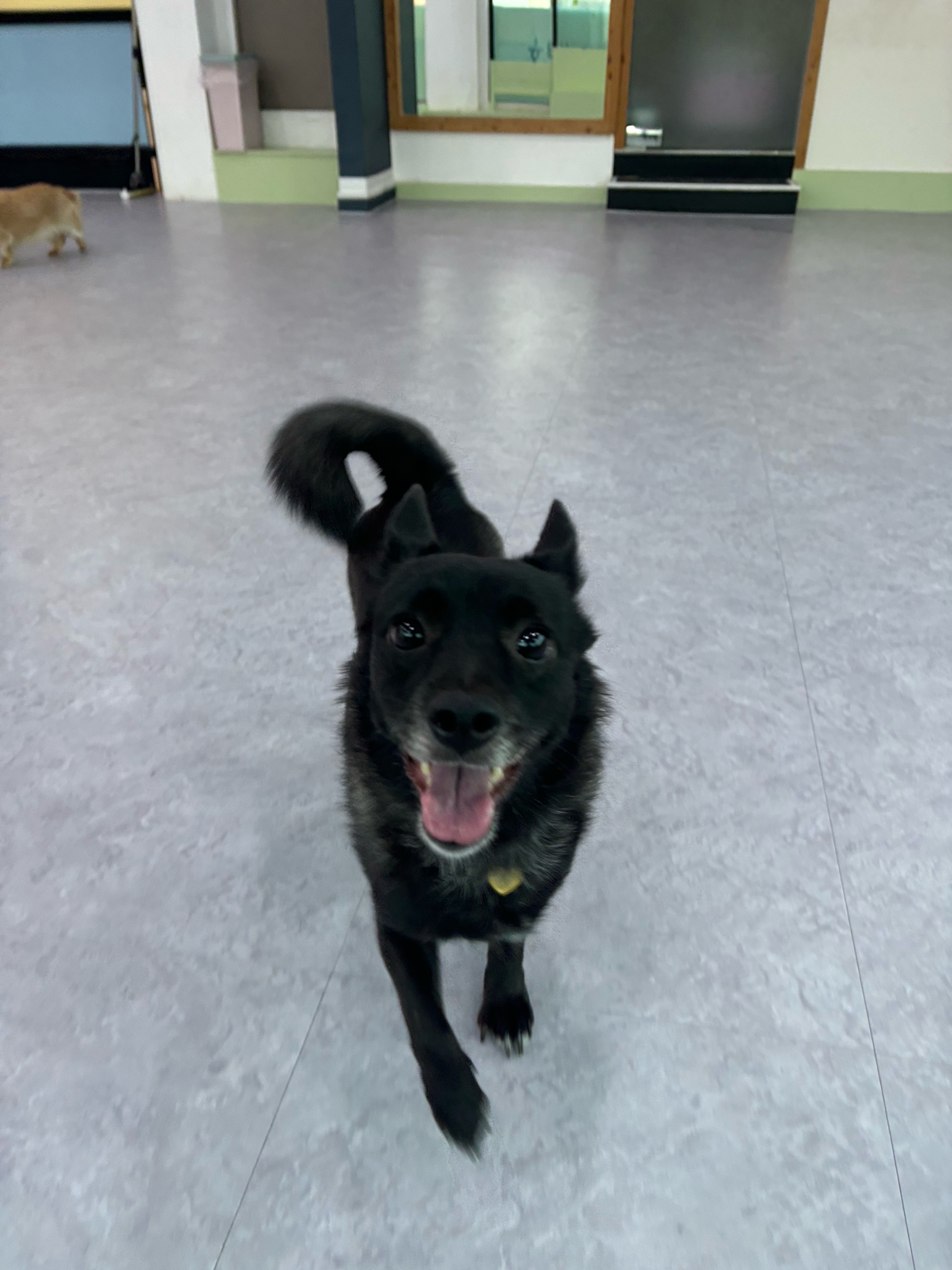 달곰이(무지개-옐로우) 이야기