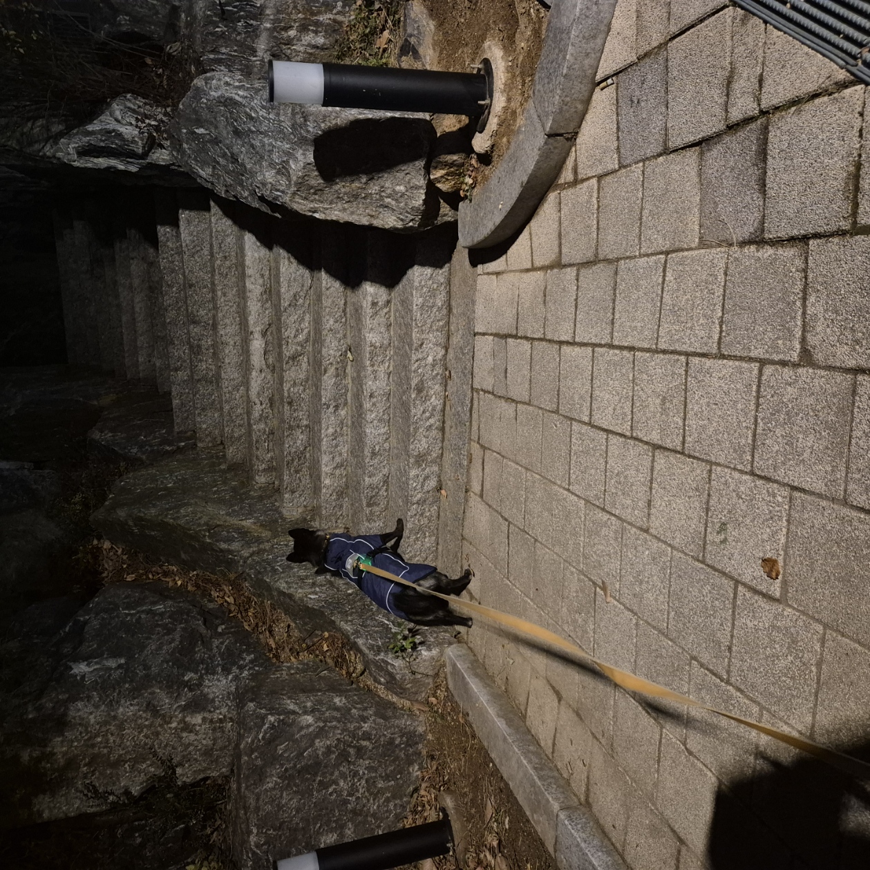 달곰이(무지개-옐로우) 이야기