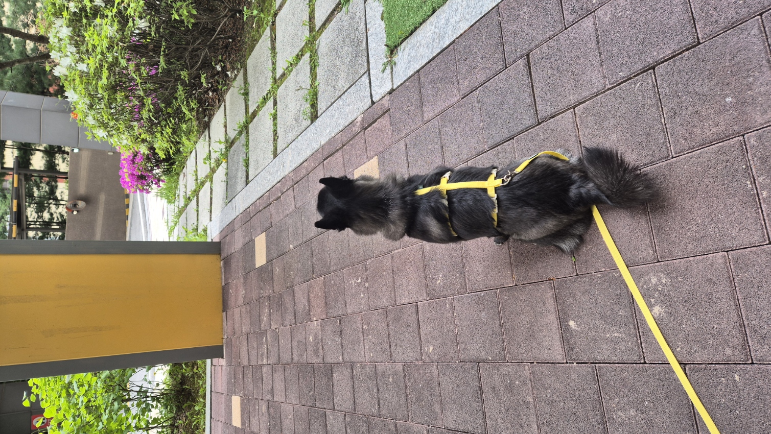 달곰이(무지개-옐로우) 이야기