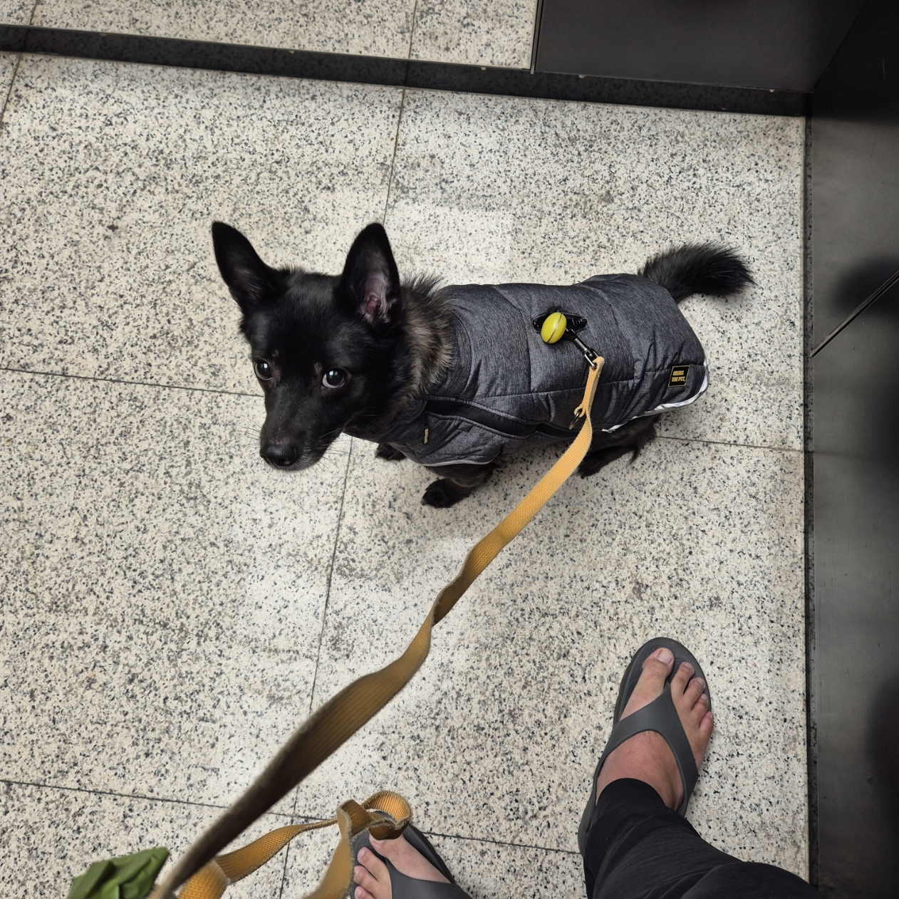 달곰이(무지개-옐로우) 이야기