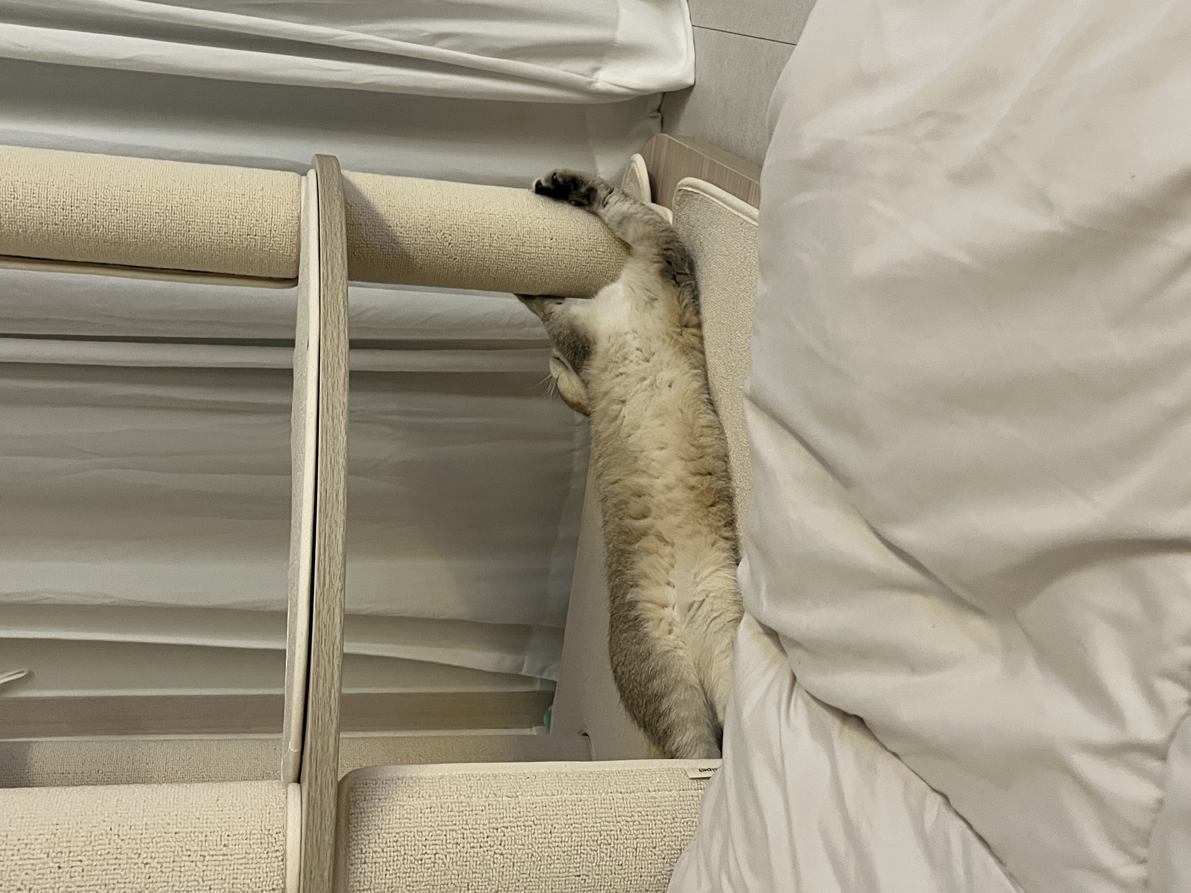 사월이(열매)의 일주일