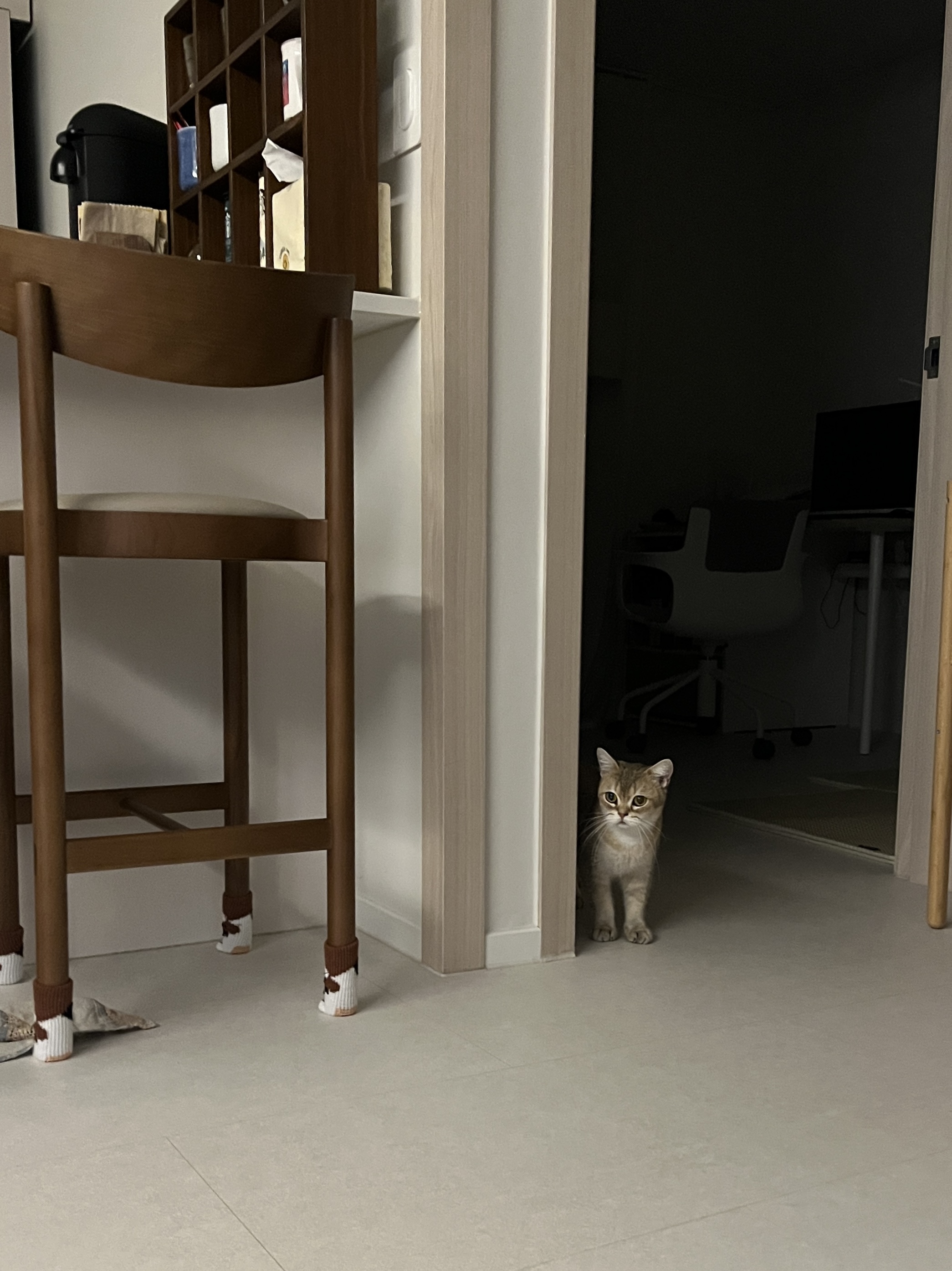 사월이(열매)의 일주일