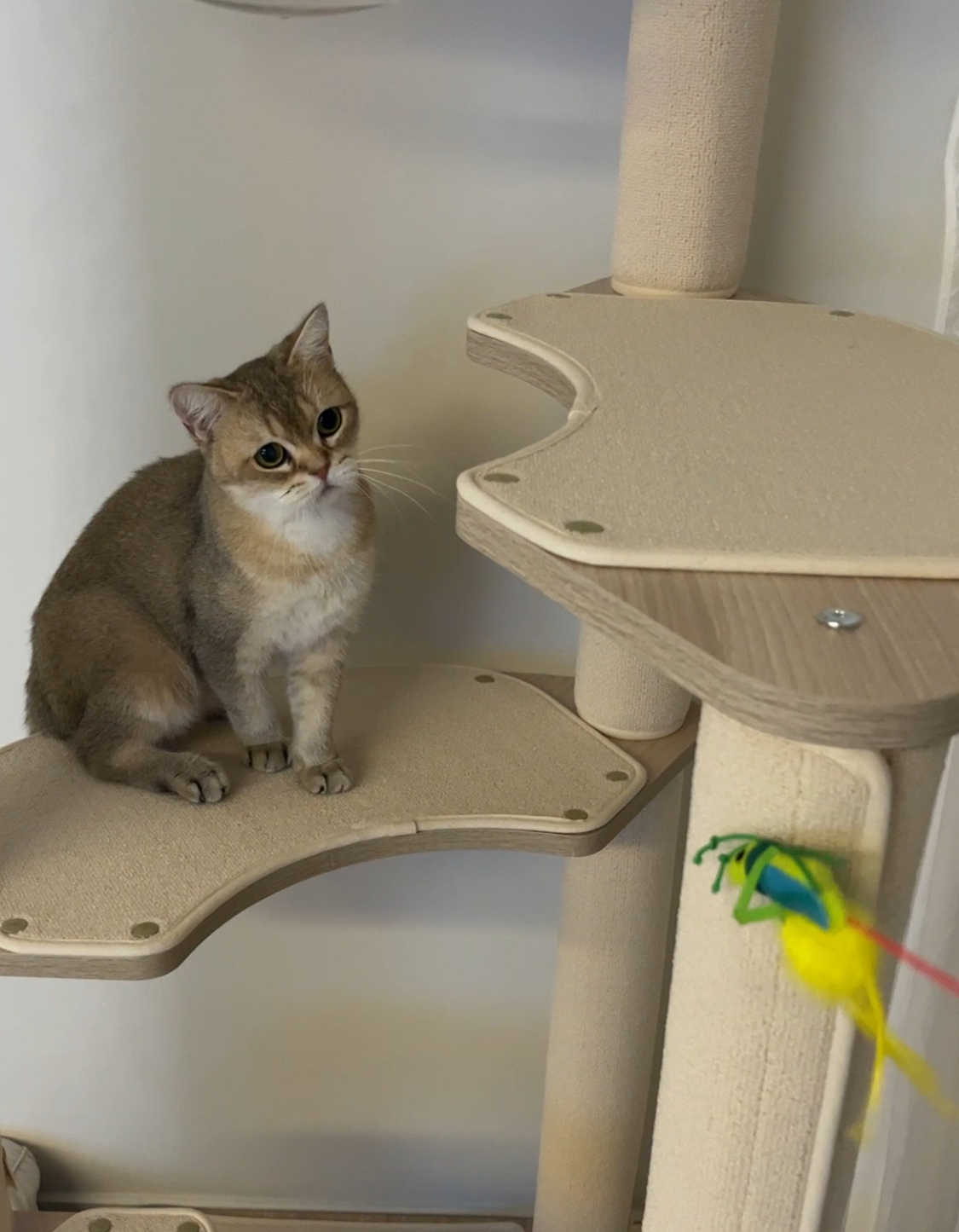 사월이(열매)의 일주일