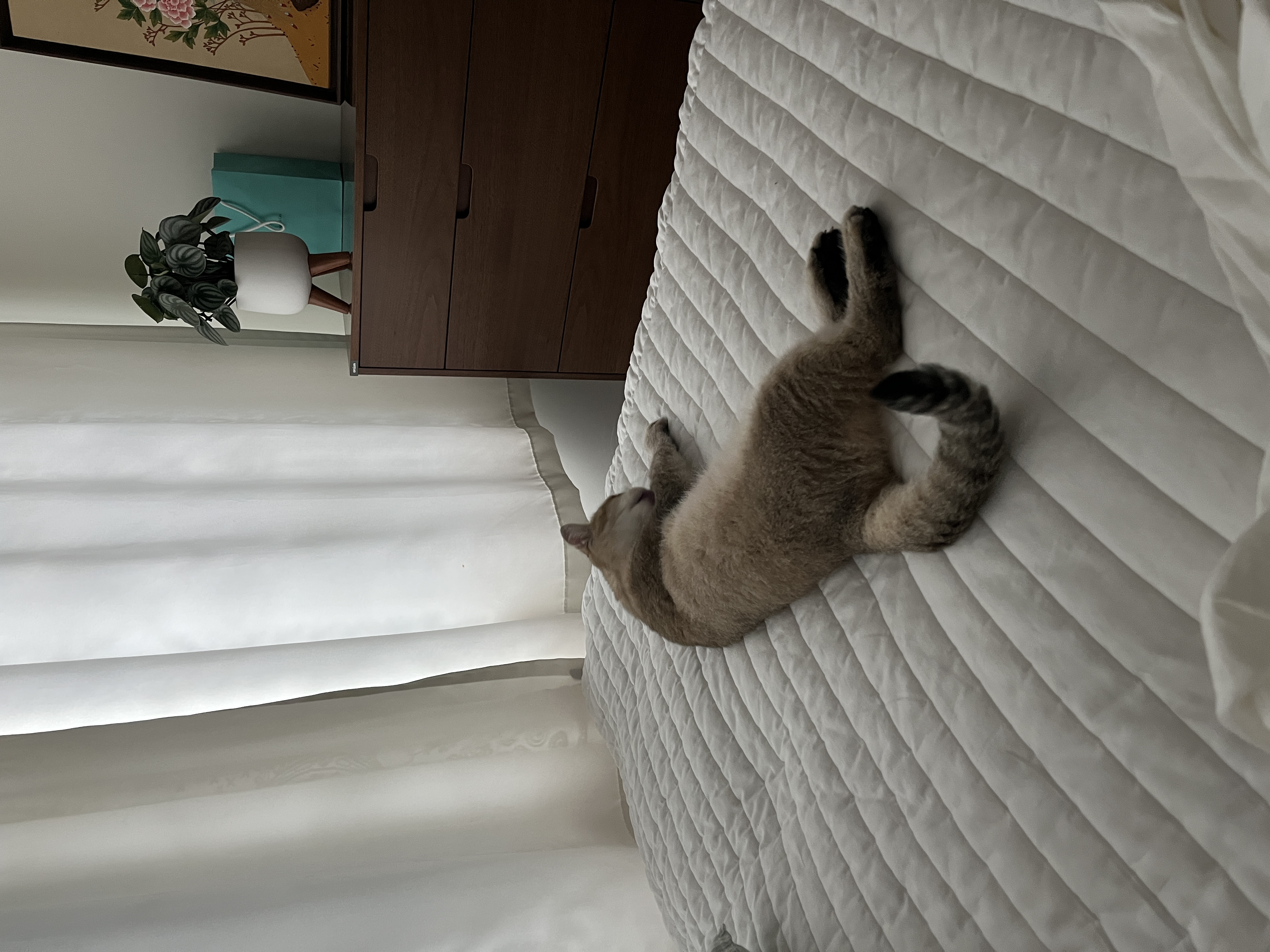 사월이(열매)의 일주일