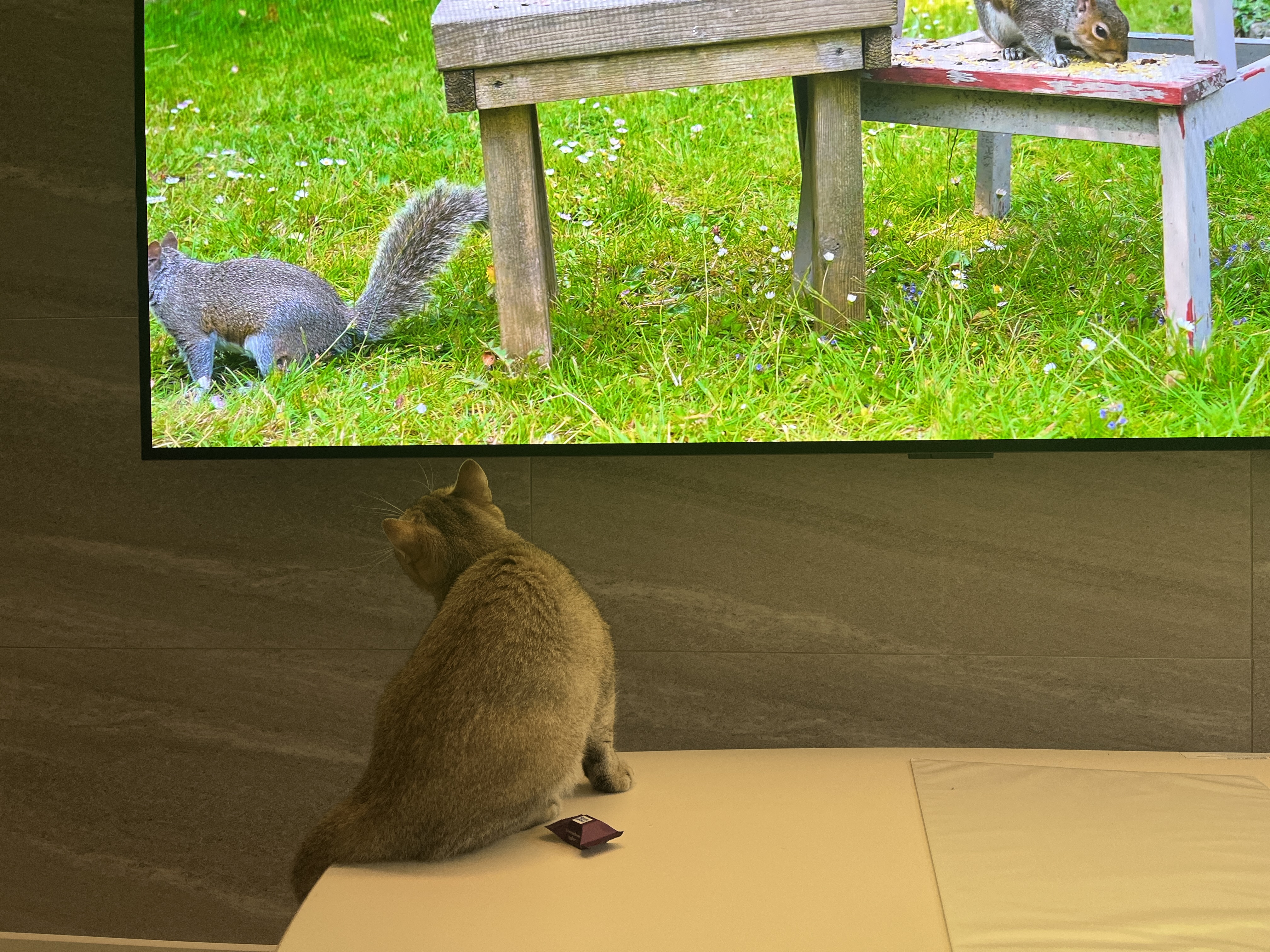 사월이(열매)의 일주일